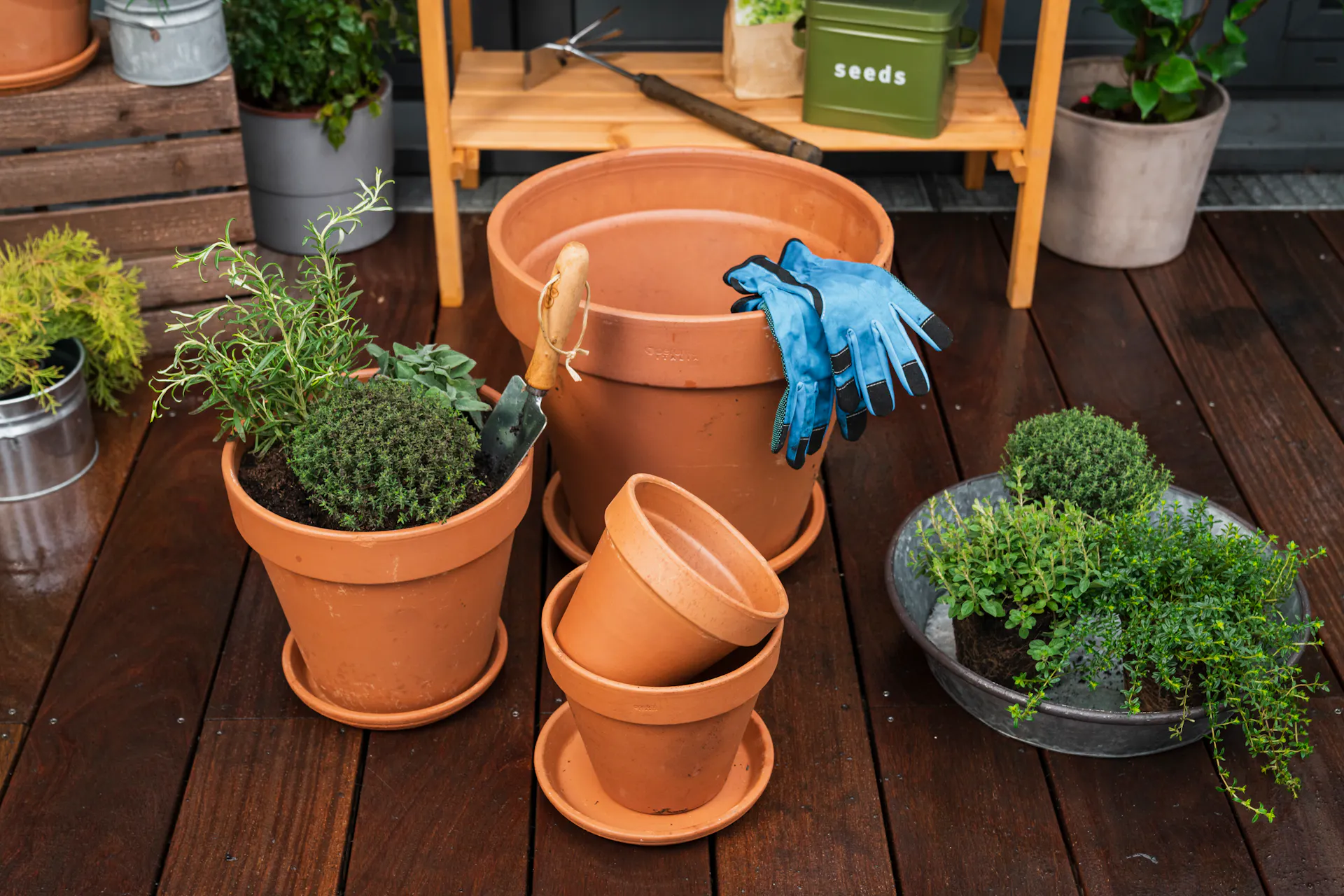 Pots en argile de différentes tailles