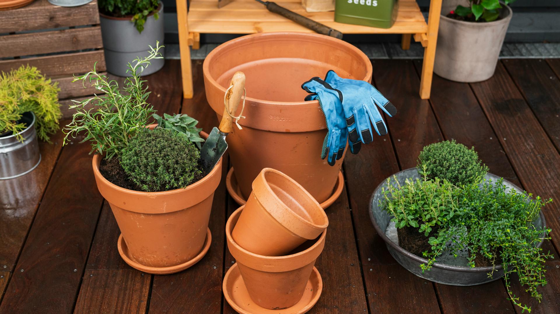 Különböző méretű agyagcserepek.