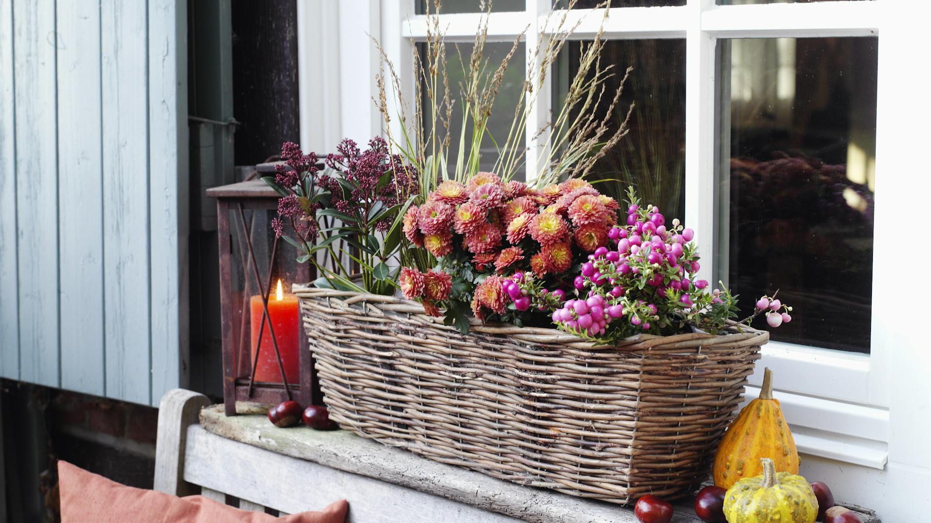 Herbstpflanzen in Blumenkübel