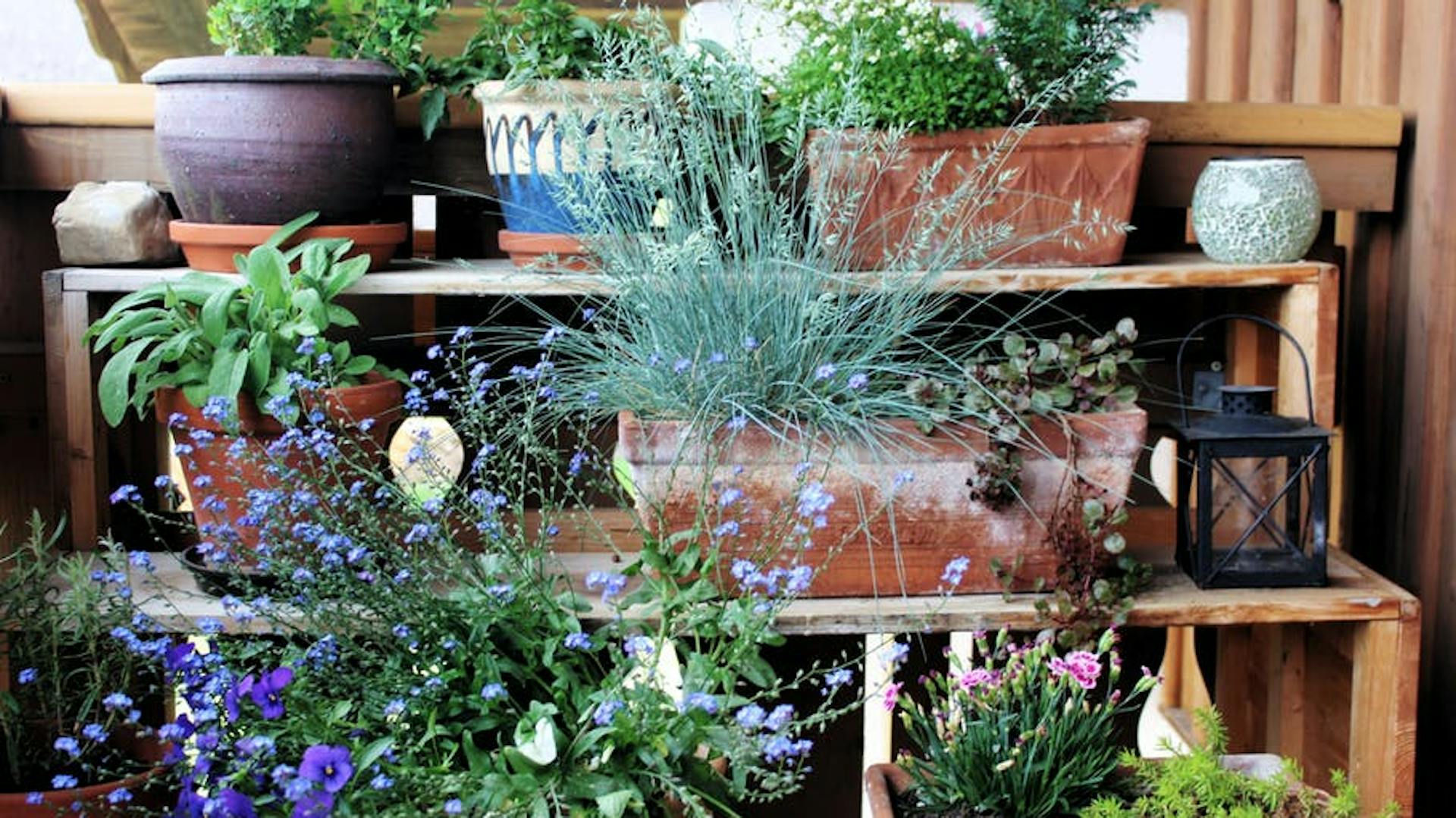 Kvetináče na balkóne