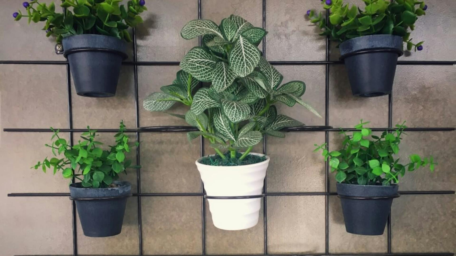 Fali tartó növényekhez és fűszernövényekhez egy erkélyen