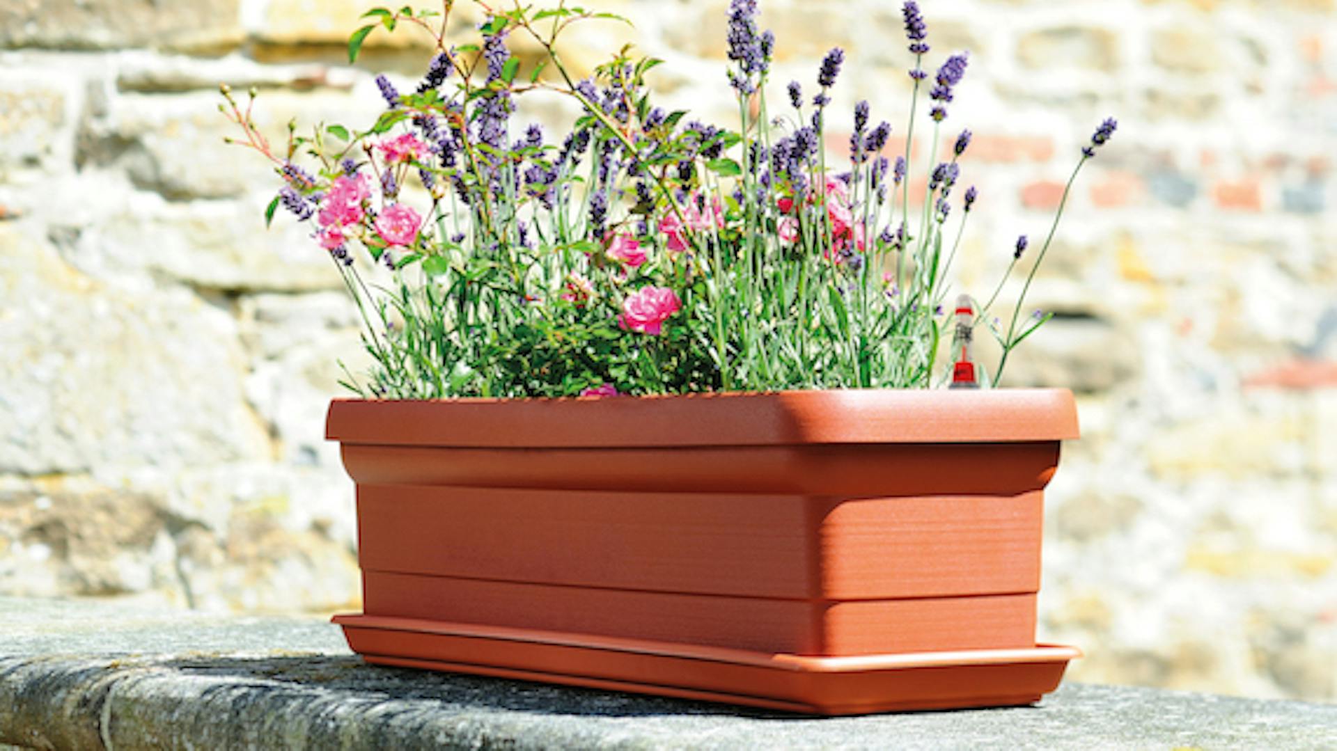 Outdoor-Blumenkasten mit Blumen drin steht draußen vor einer Mauer.