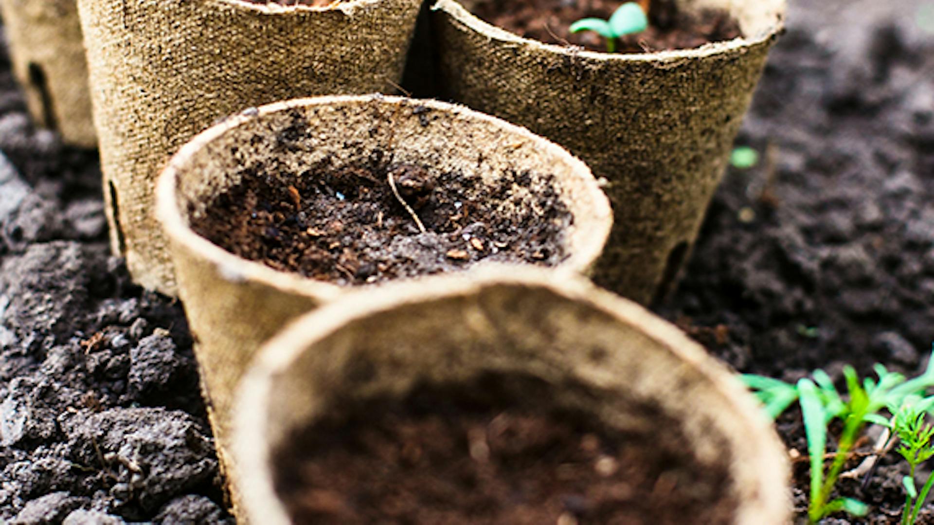 Outdoor-Pflanzgefäße sind mit Erde gefüllt.