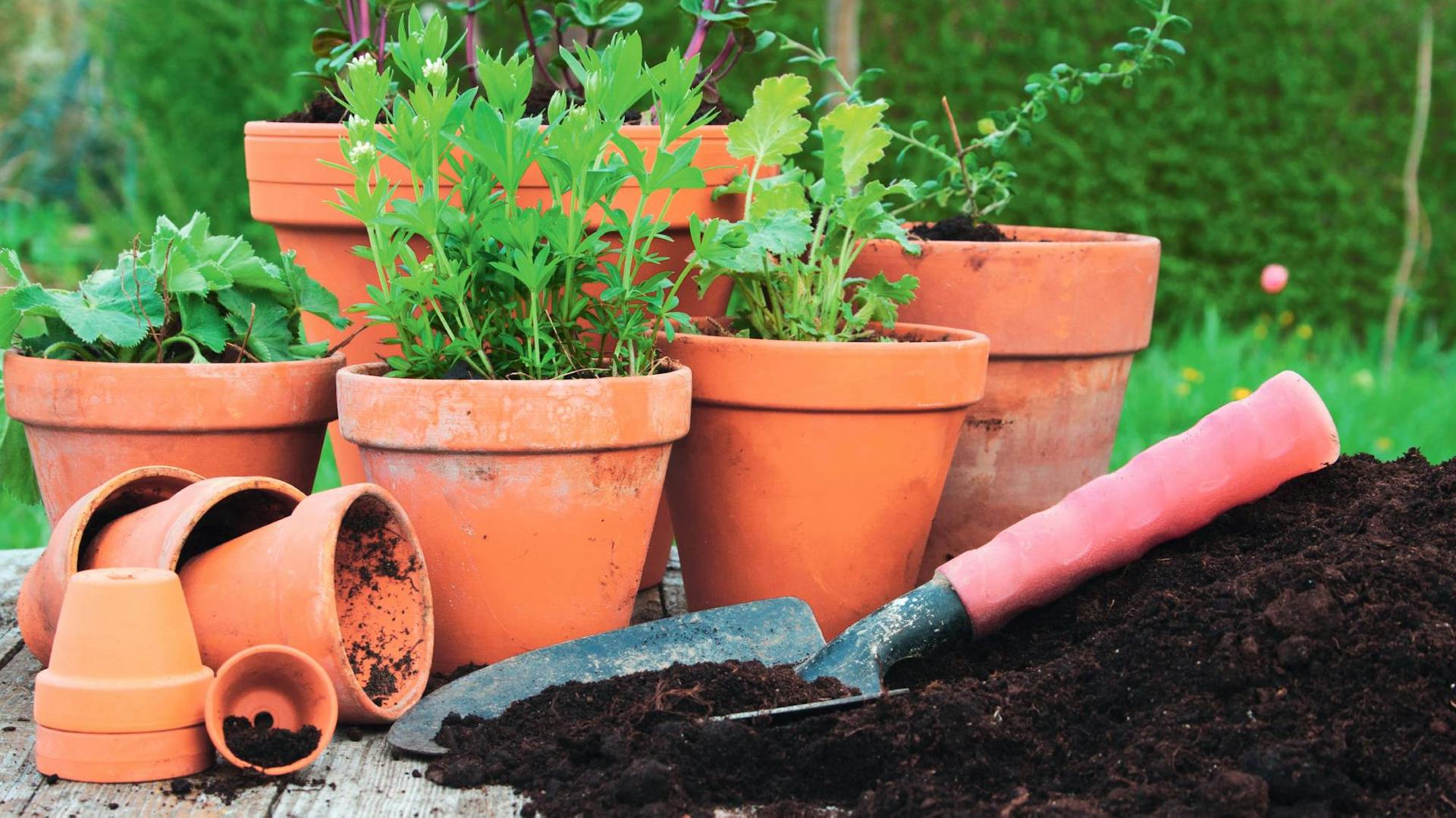 Pflanztöpfe für den Außenbereich