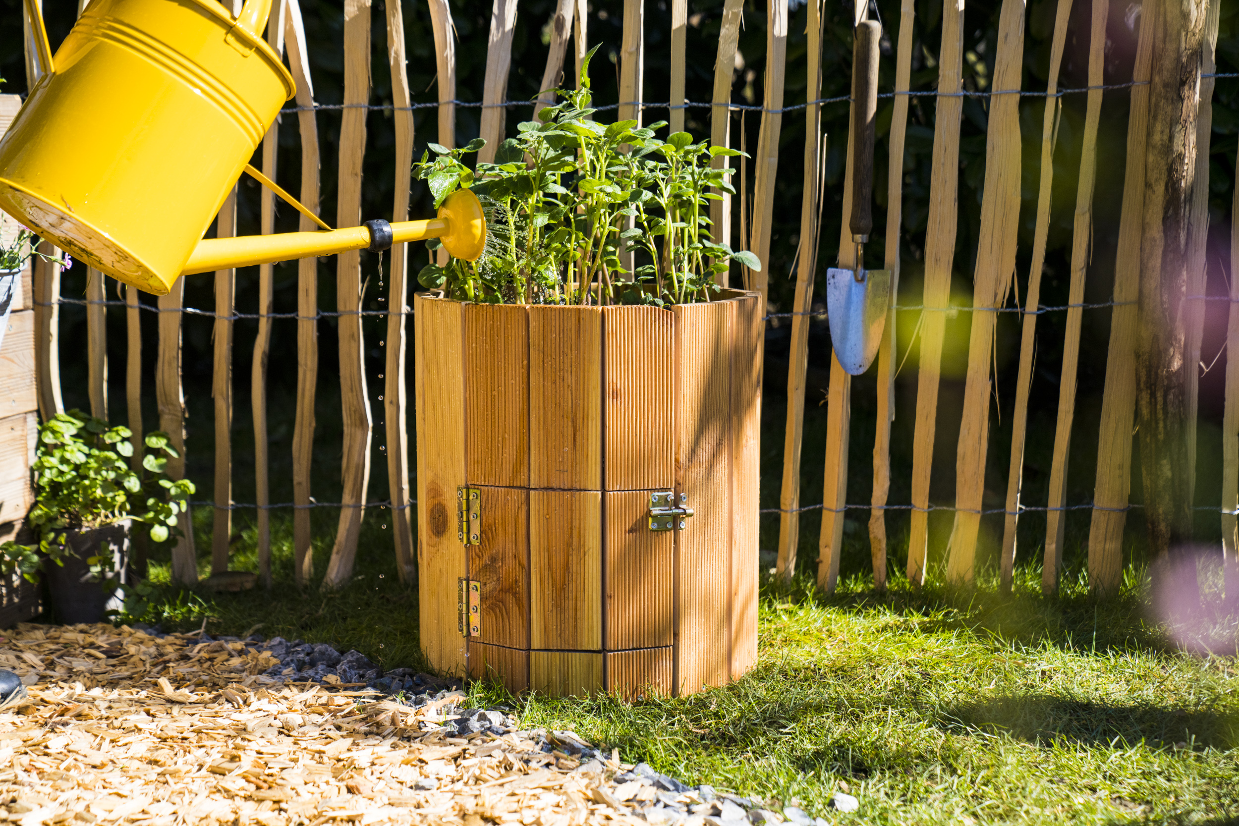 Bramborové rostliny ve vlastnoručně vyrobené bramborové věži se zalévají žlutou konví.
