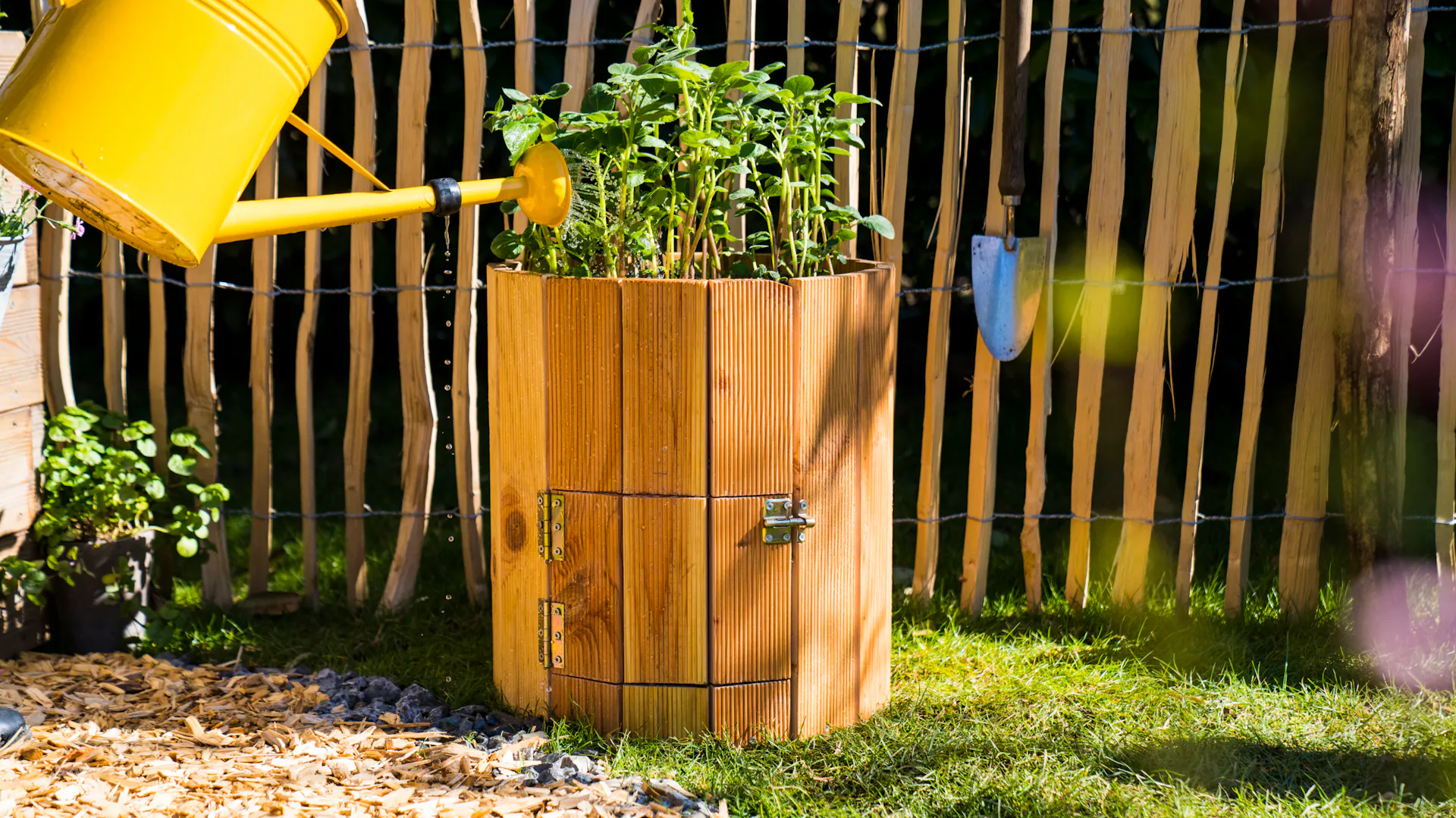 Bramborové rostliny ve vlastnoručně vyrobené bramborové věži se zalévají žlutou konví.