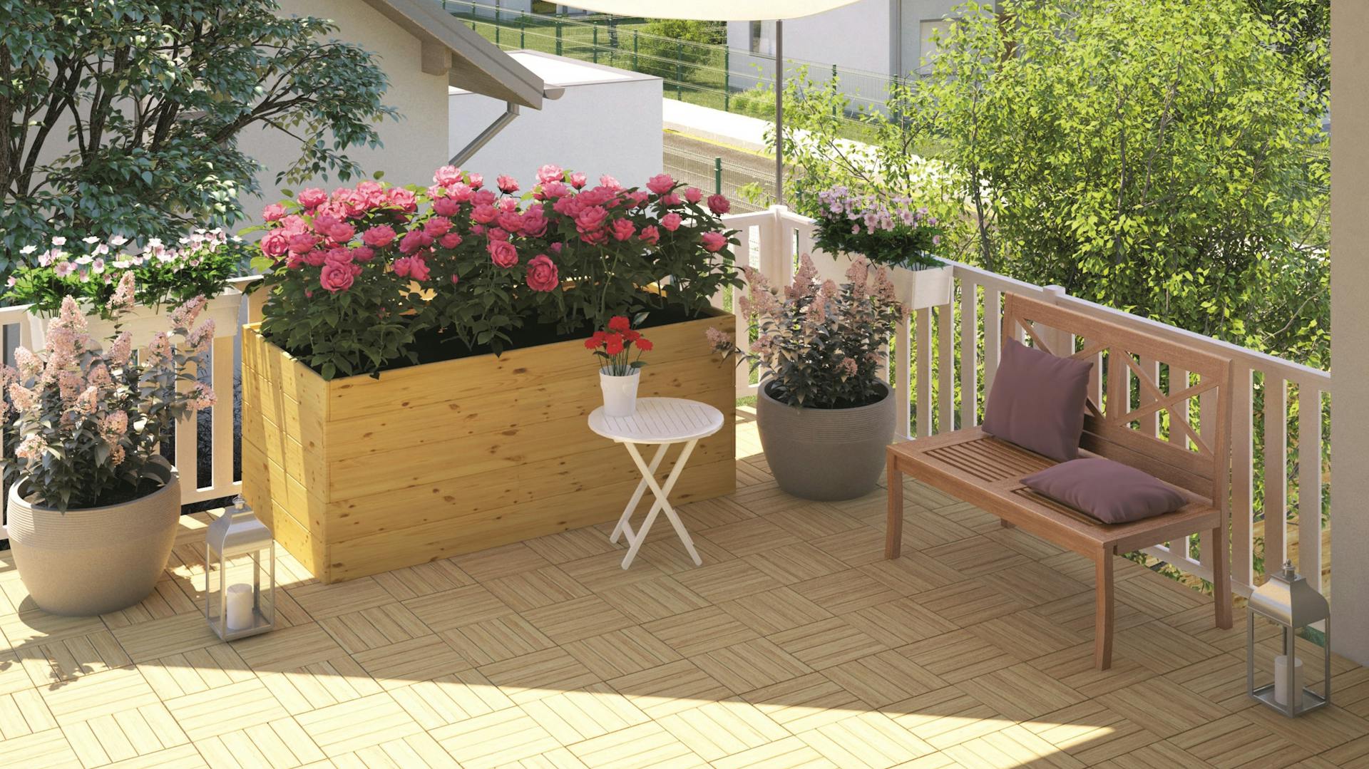 Hochbeet mit Pfingstrosen auf Balkon