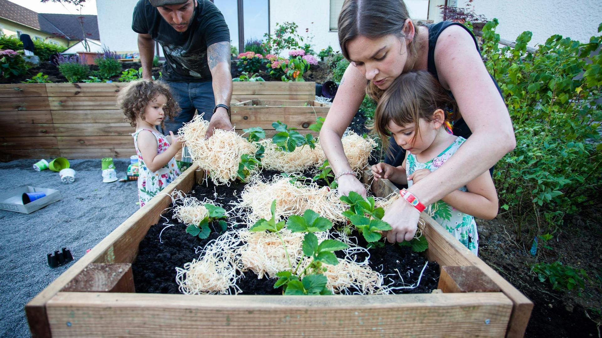 Egy család új növényekkel ülteti be a magaságyást