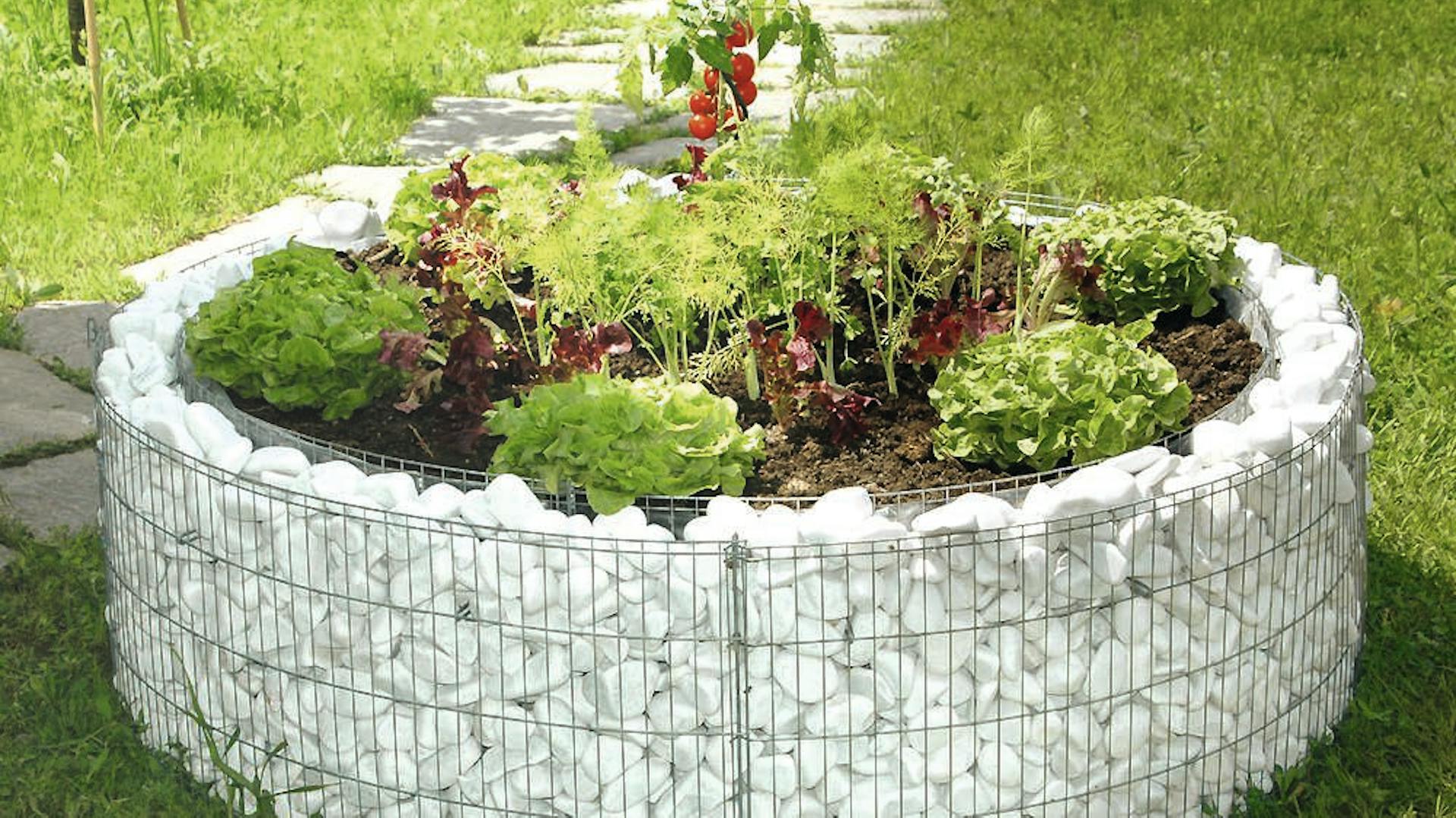 Gabionen-Hochbeet mit weißem Kies