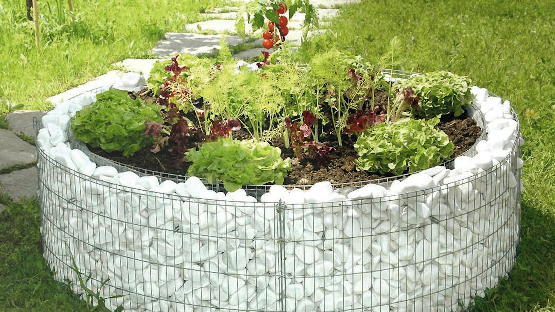 Gabione als Hochbeet