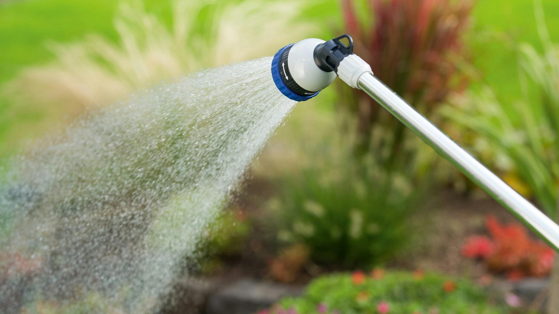 Öntözés szórófejjel a kertben