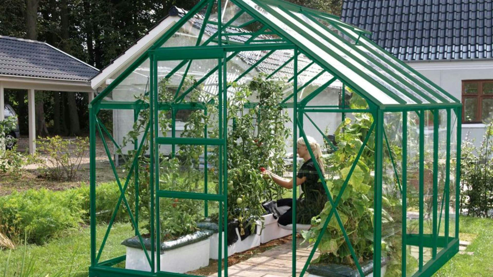 Gewächshaus mit Gemüse