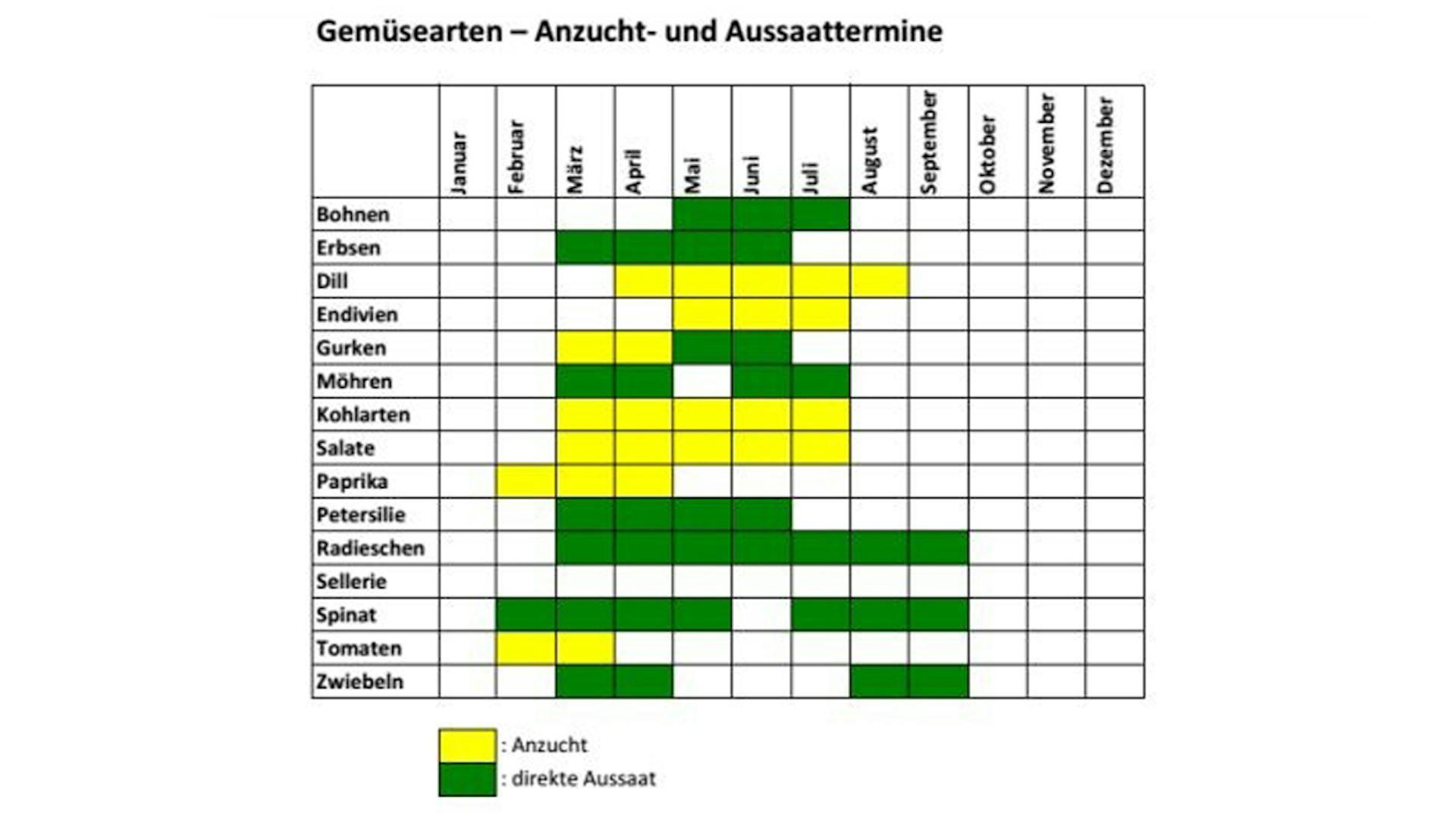 Anzuchtkalender Gemüse