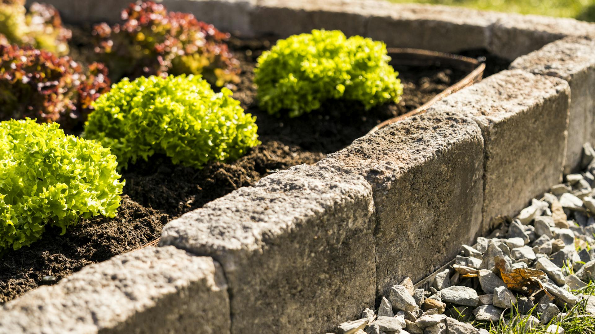 Randsteine aus Naturstein