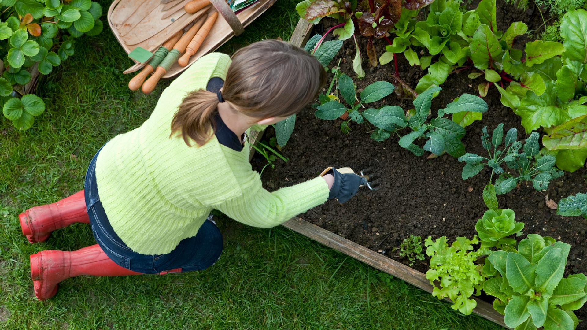 Una donna pianta ortaggi in un'aiuola.