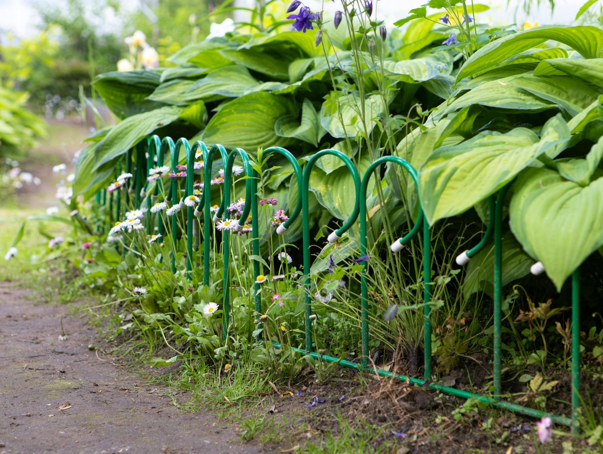 Ágyásszegély fém kerítésből.