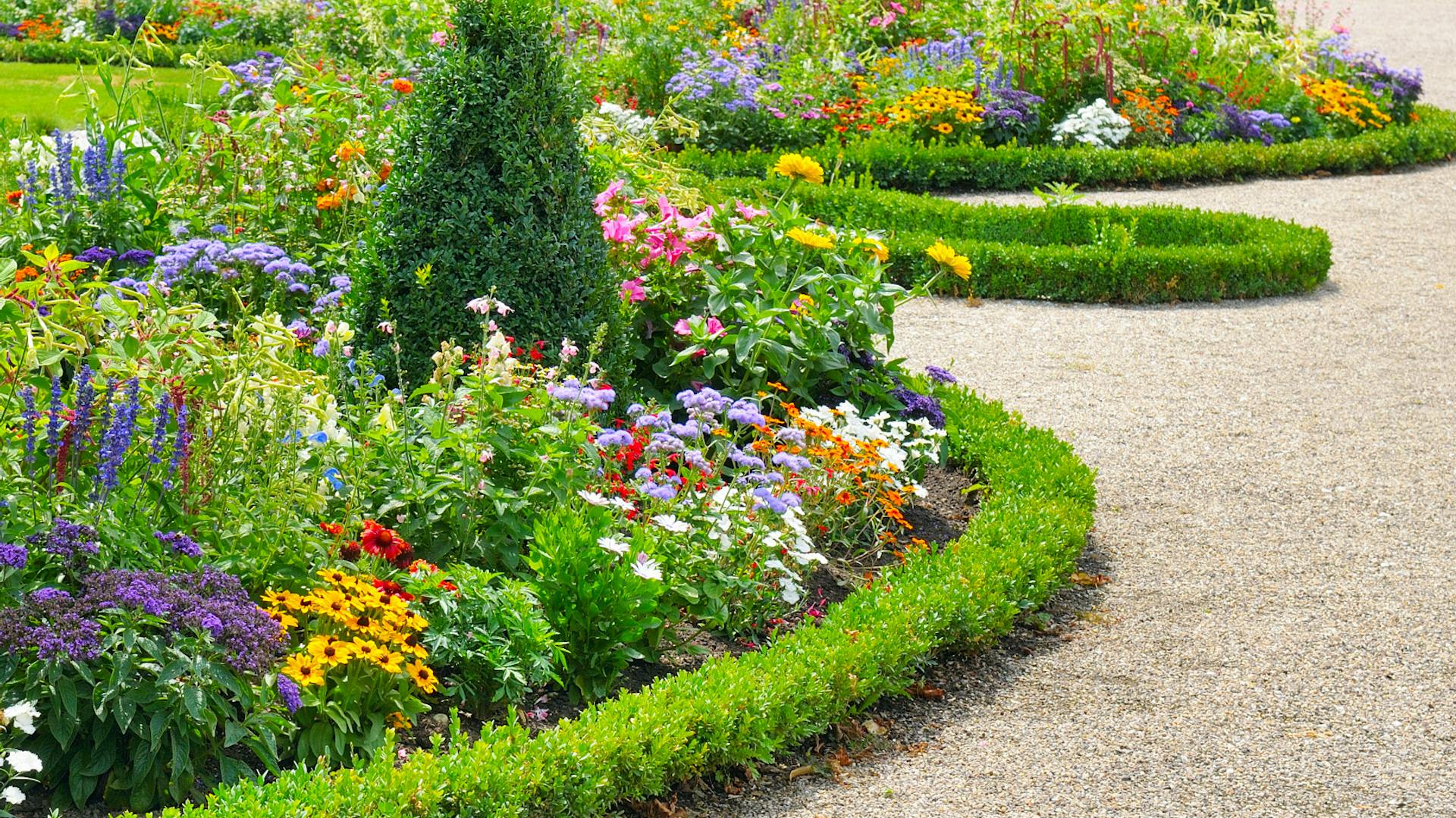 Ágyás zöld növényekből készült szegéllyel.