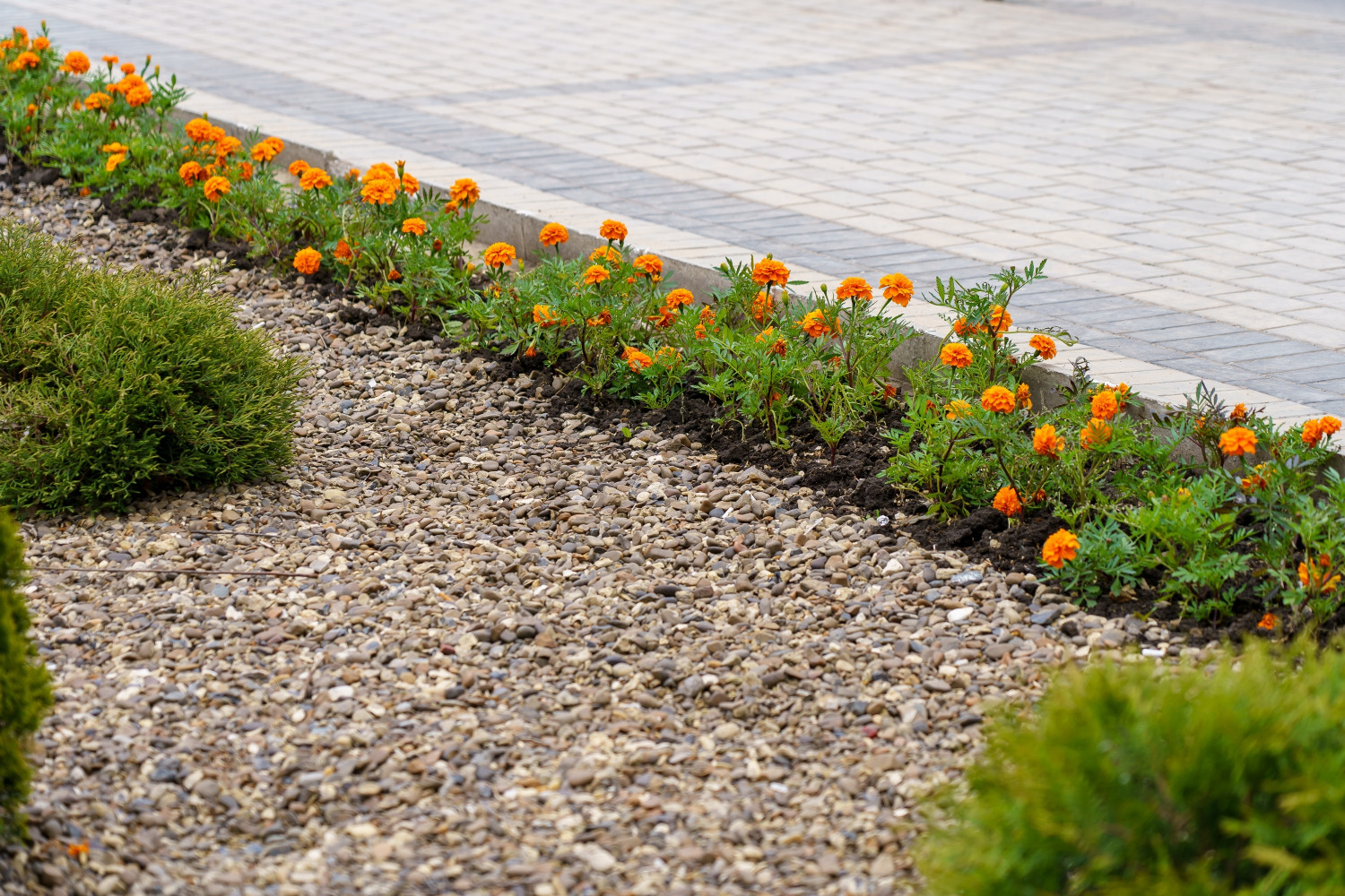 Ágyás kis virágokból készült szegéllyel.