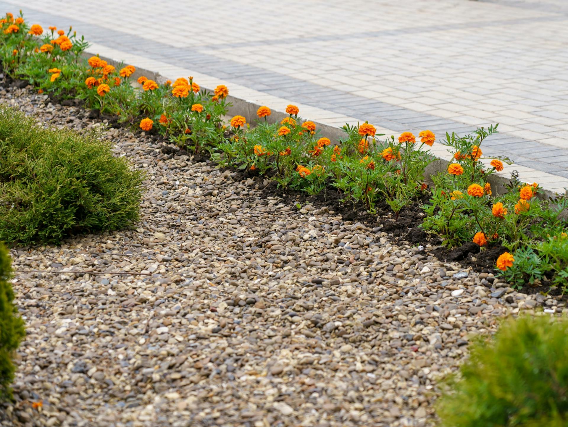 Ágyás kis virágokból készült szegéllyel.