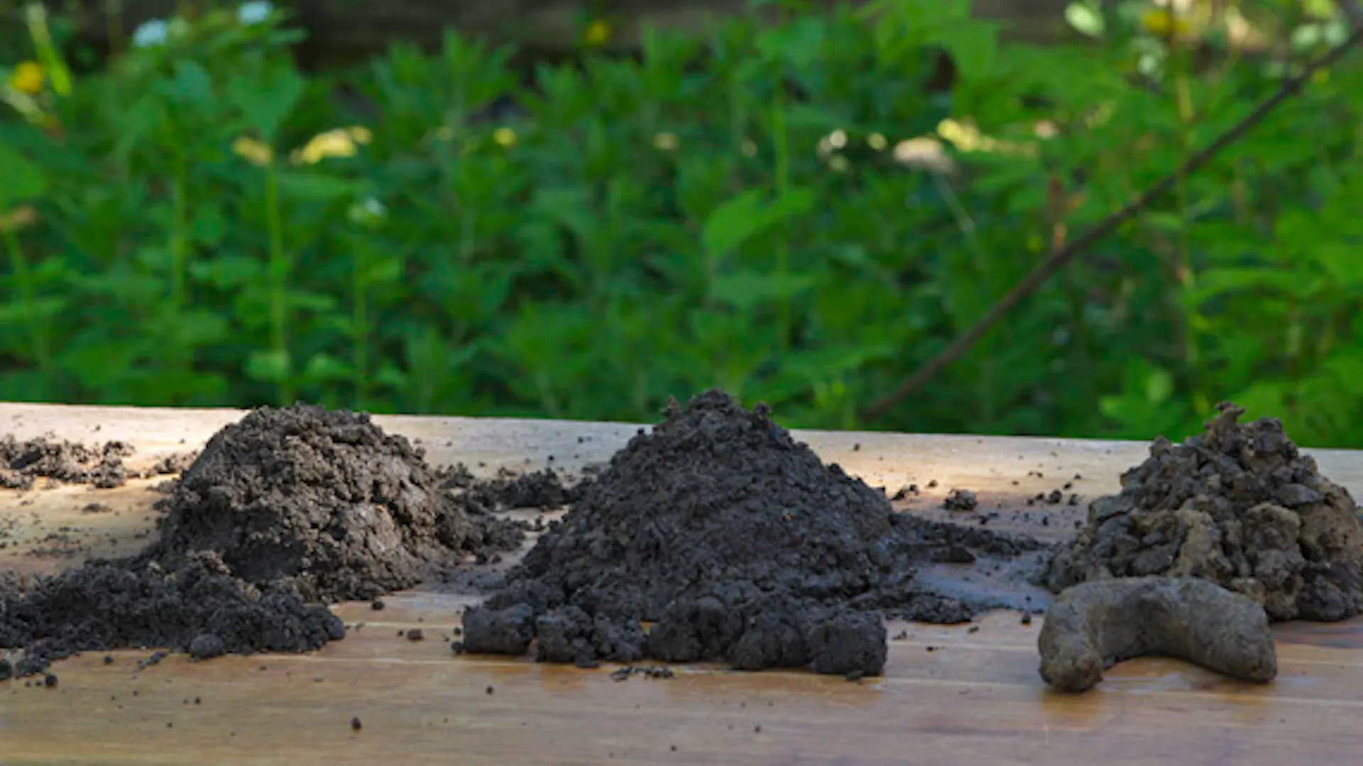 Bodenarten auf Gartentisch