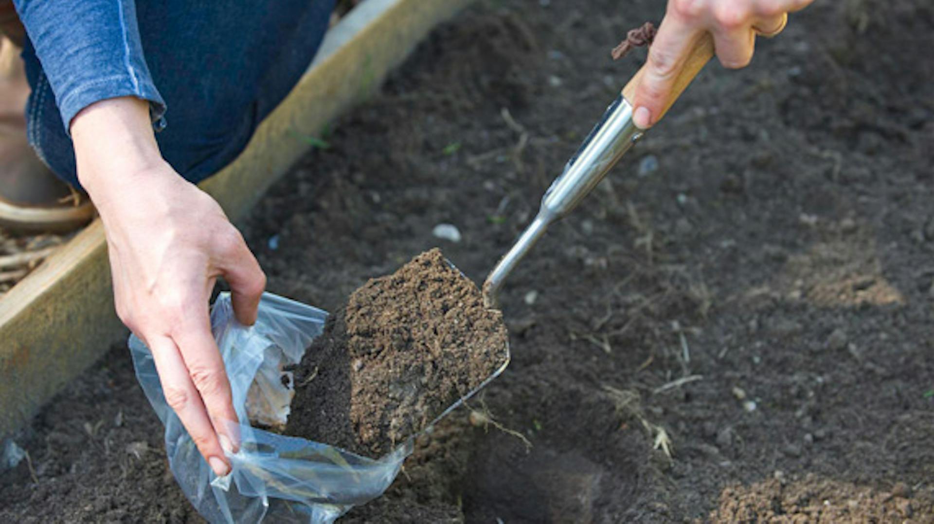 Gärtner entnimmt eine Schaufel Erde als Bodenprobe.