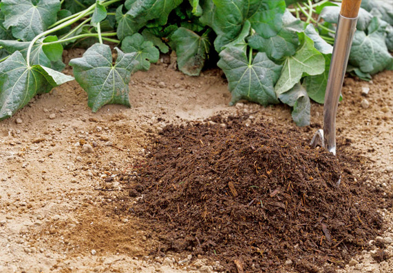 Su un terreno sabbioso viene distribuito del compost per migliorare le condizioni del terreno.