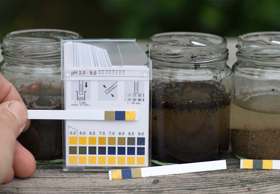 Le strisce di prova per pH sono pronte per misurare il pH su tre campioni di terreno.