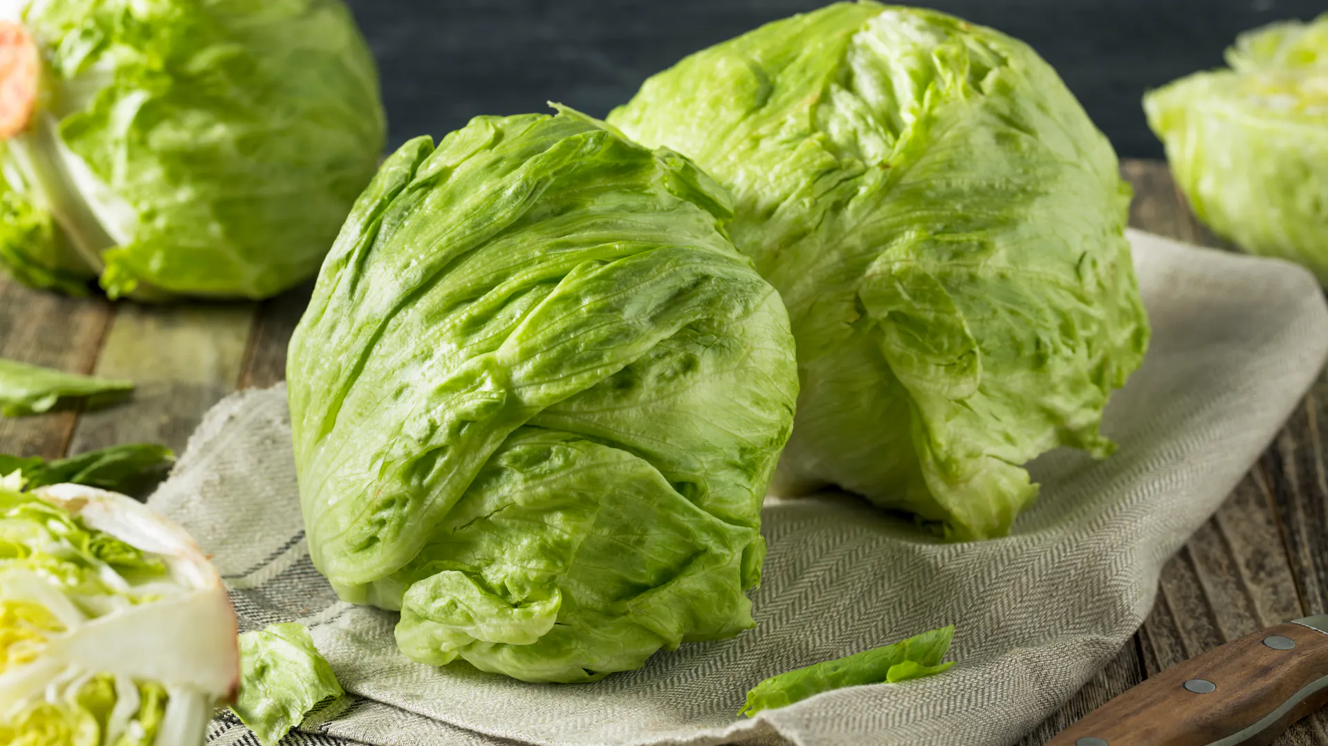Zwei Köpfe Eisbergsalat auf einem Küchenhandtuch, weitere Köpfe im Hintergrund, vorn ein angeschnittener Salatkopf.