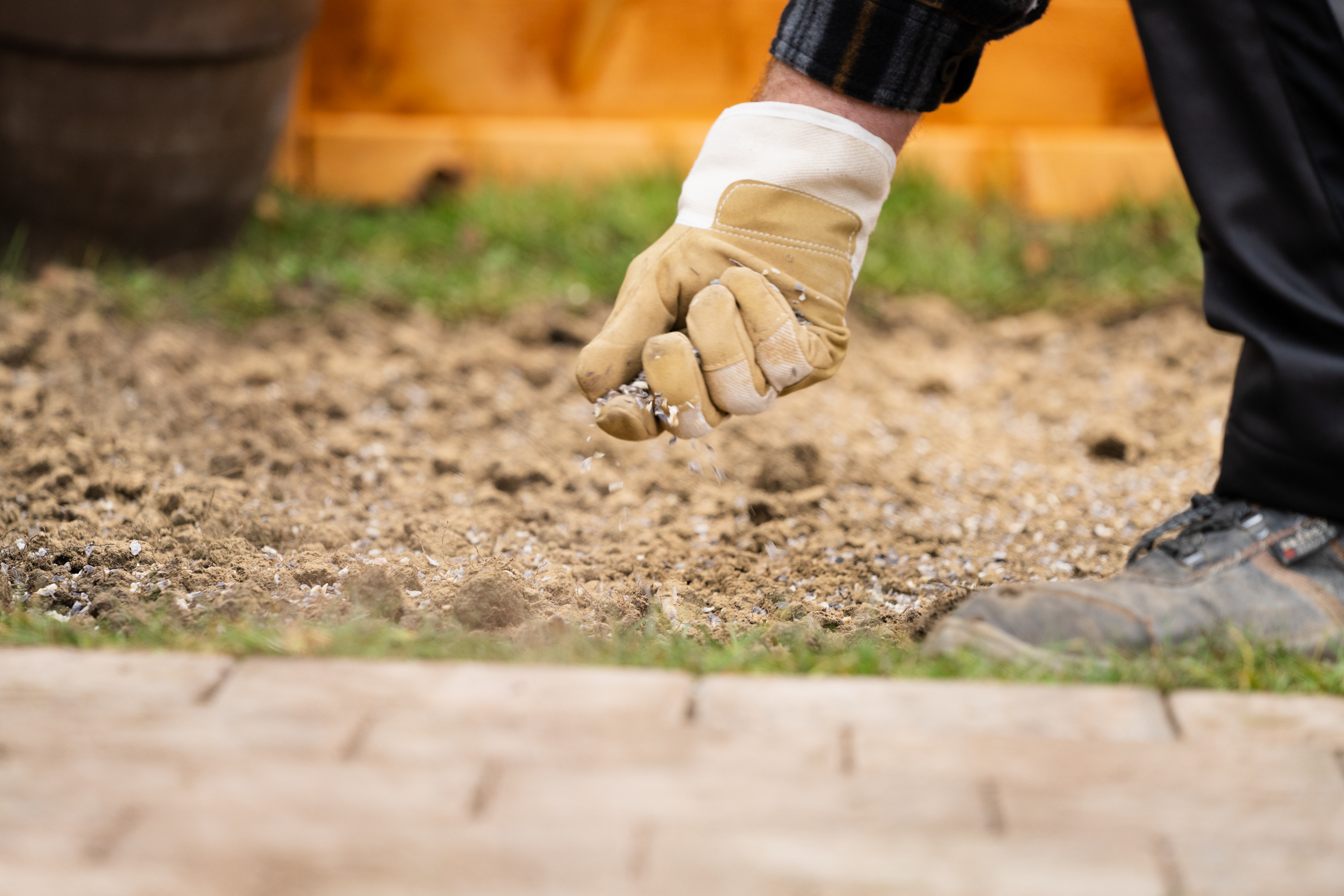 A melegágy számára kialakított területet szaruforgáccsal szórják be.