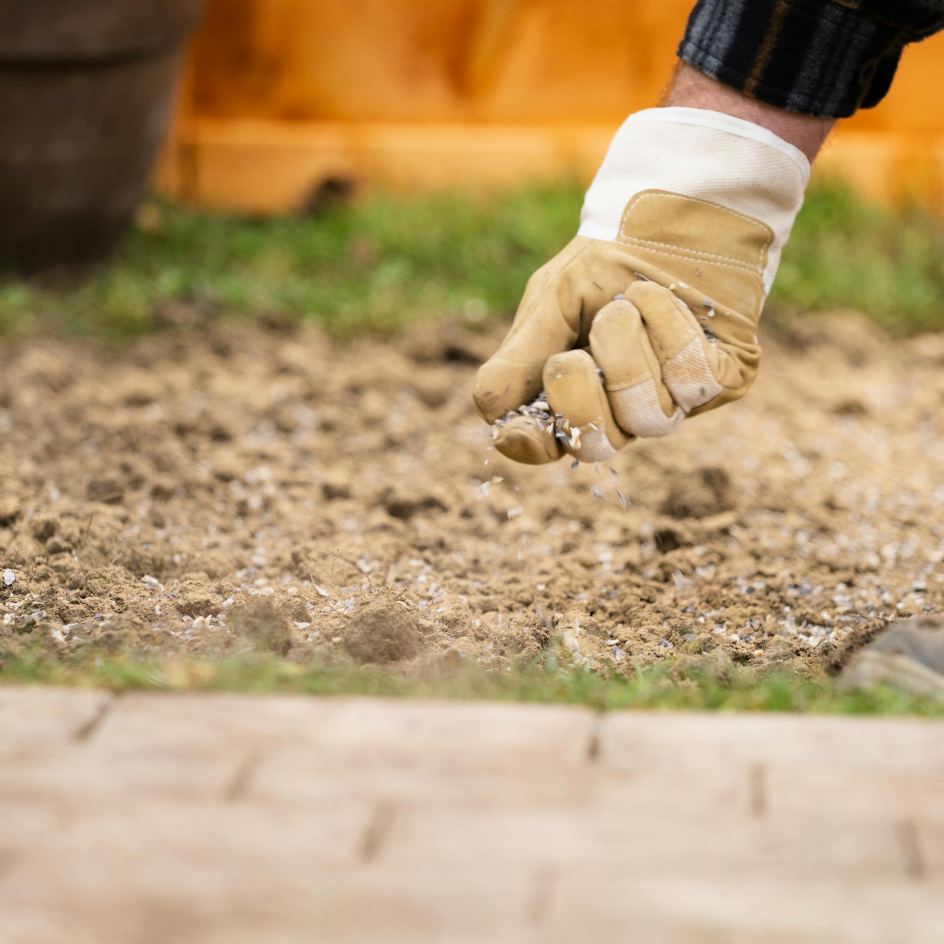 Geebnete Fläche für Frühbeet wird mit Hornspänen versehen