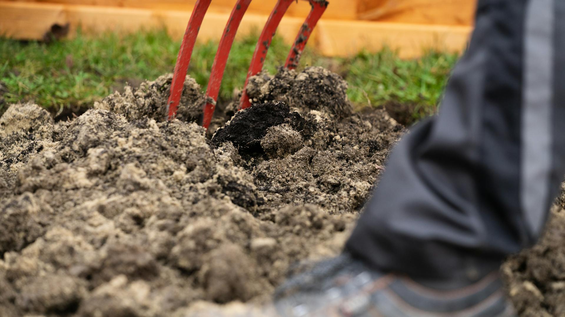 Heimwerker bereitet Boden für Anlegen eines Gemüsebeets vor.