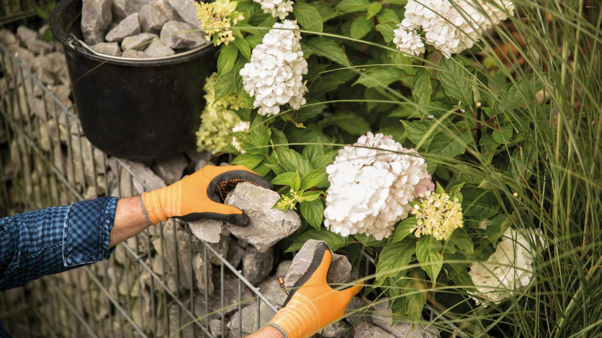 Person legt Steine in eine Gabione.