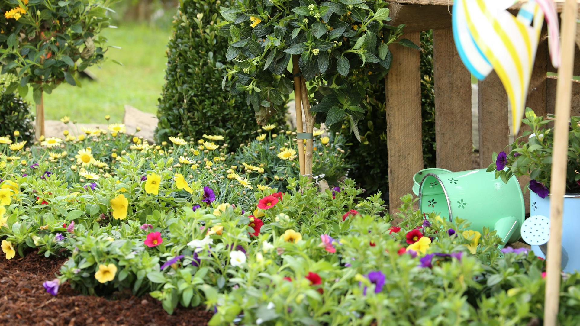 Ein buntes Beet im Garten mit Windrad