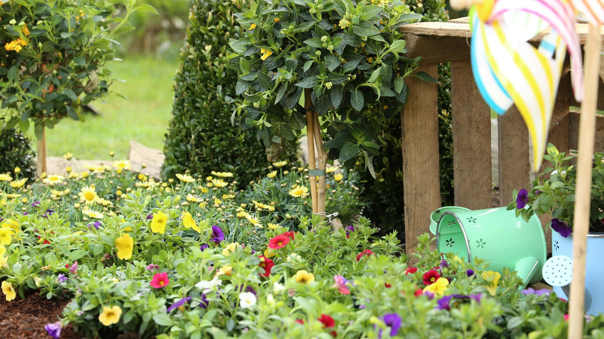 Ein buntes Beet im Garten mit Windrad
