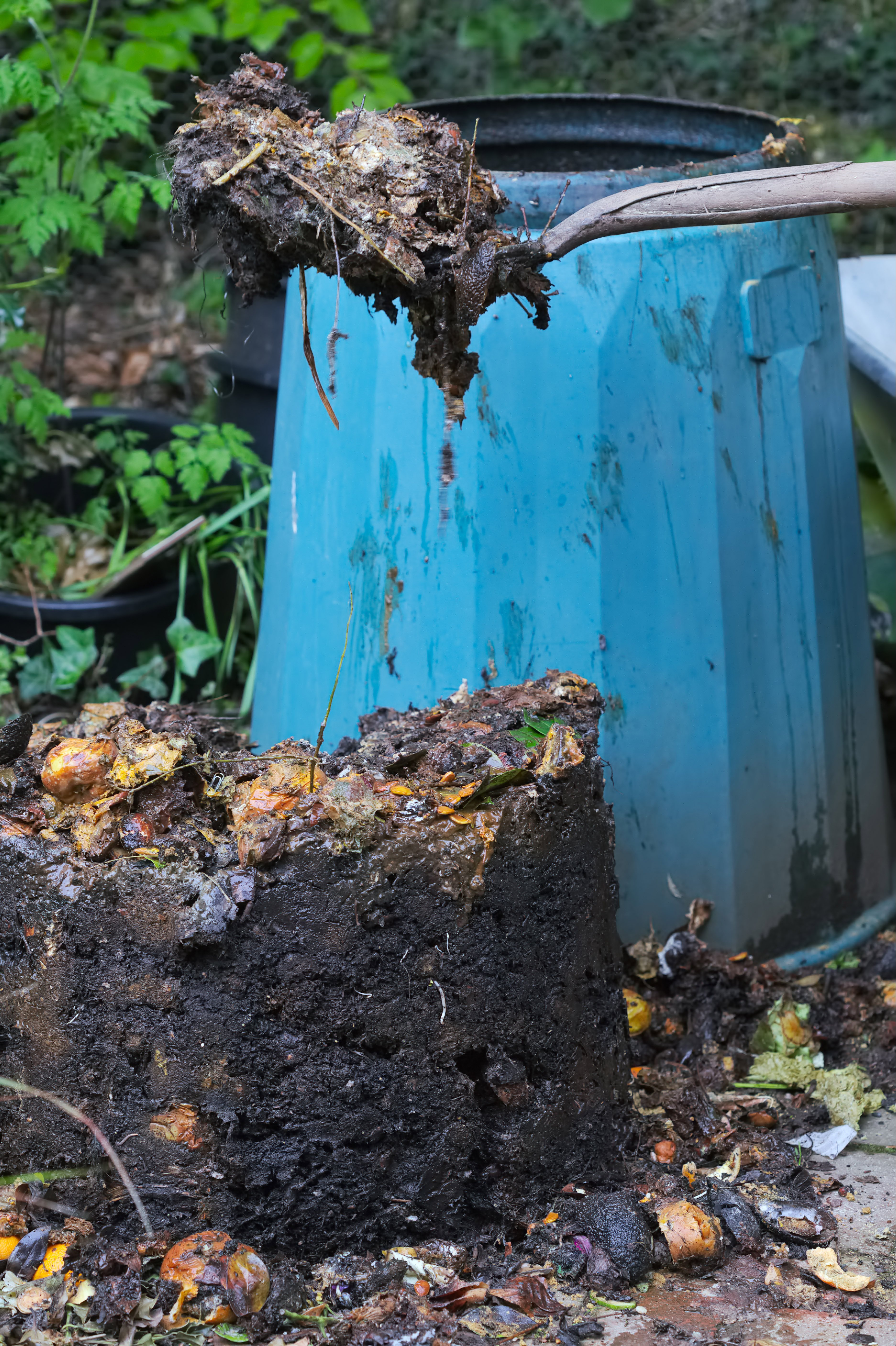 Gemüse düngen Ratgeber zur richtigen Düngung OBI
