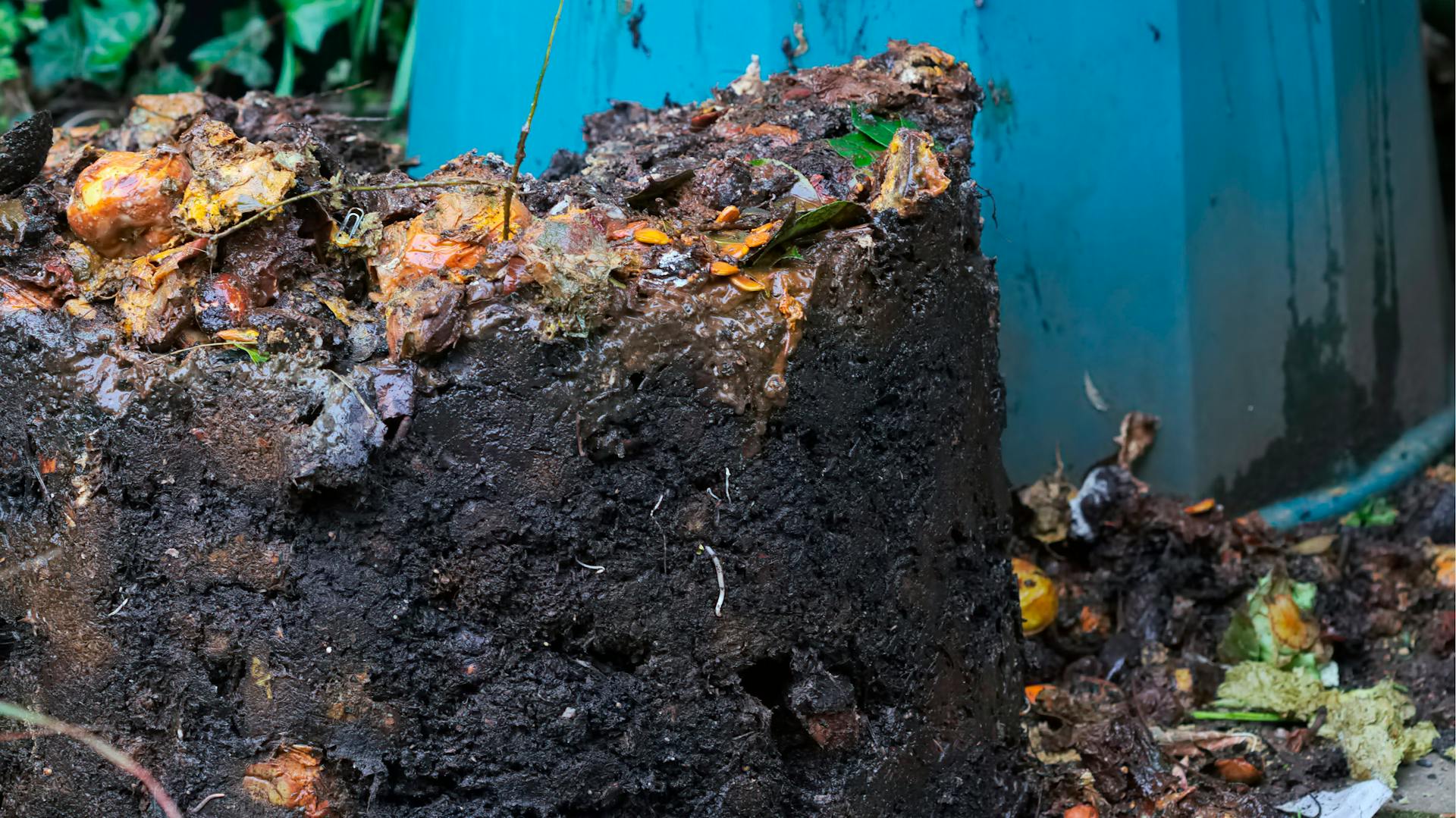 Kompost wird mit einer Mistgabel entnommen