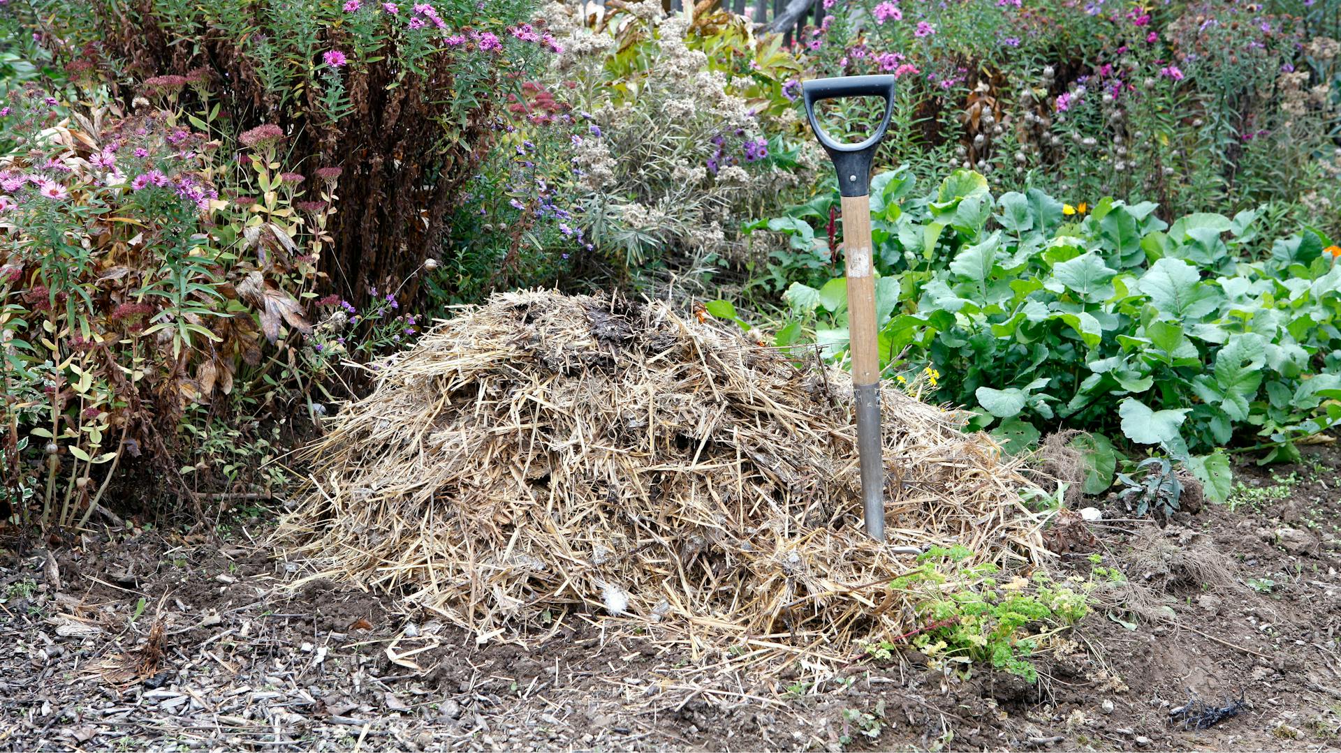 Misthaufen mit einer Mistgabel