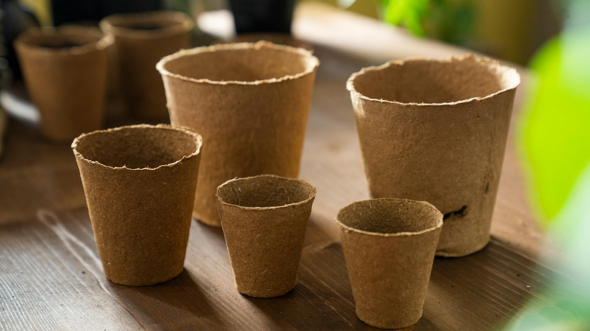 Vasi per la coltura in fibra di cocco su un tavolo