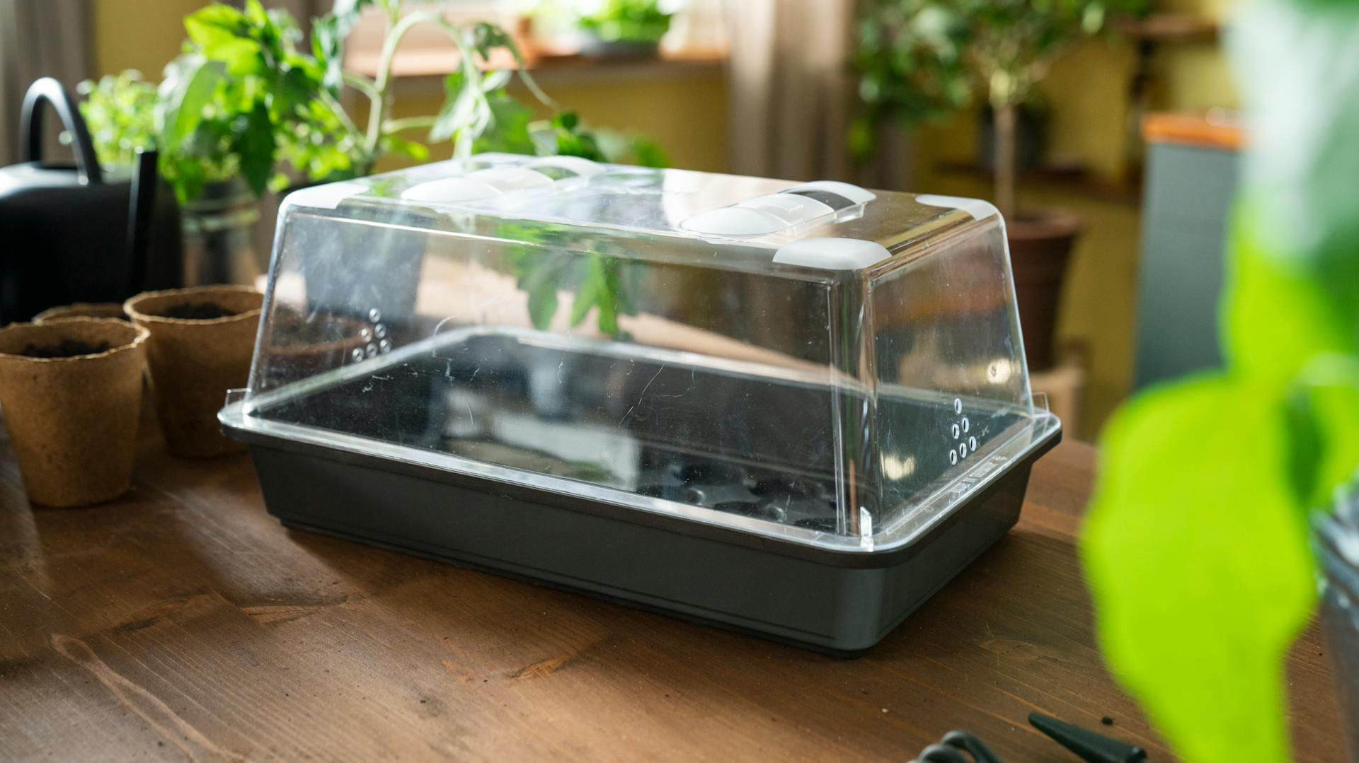 Mini serra su un tavolo