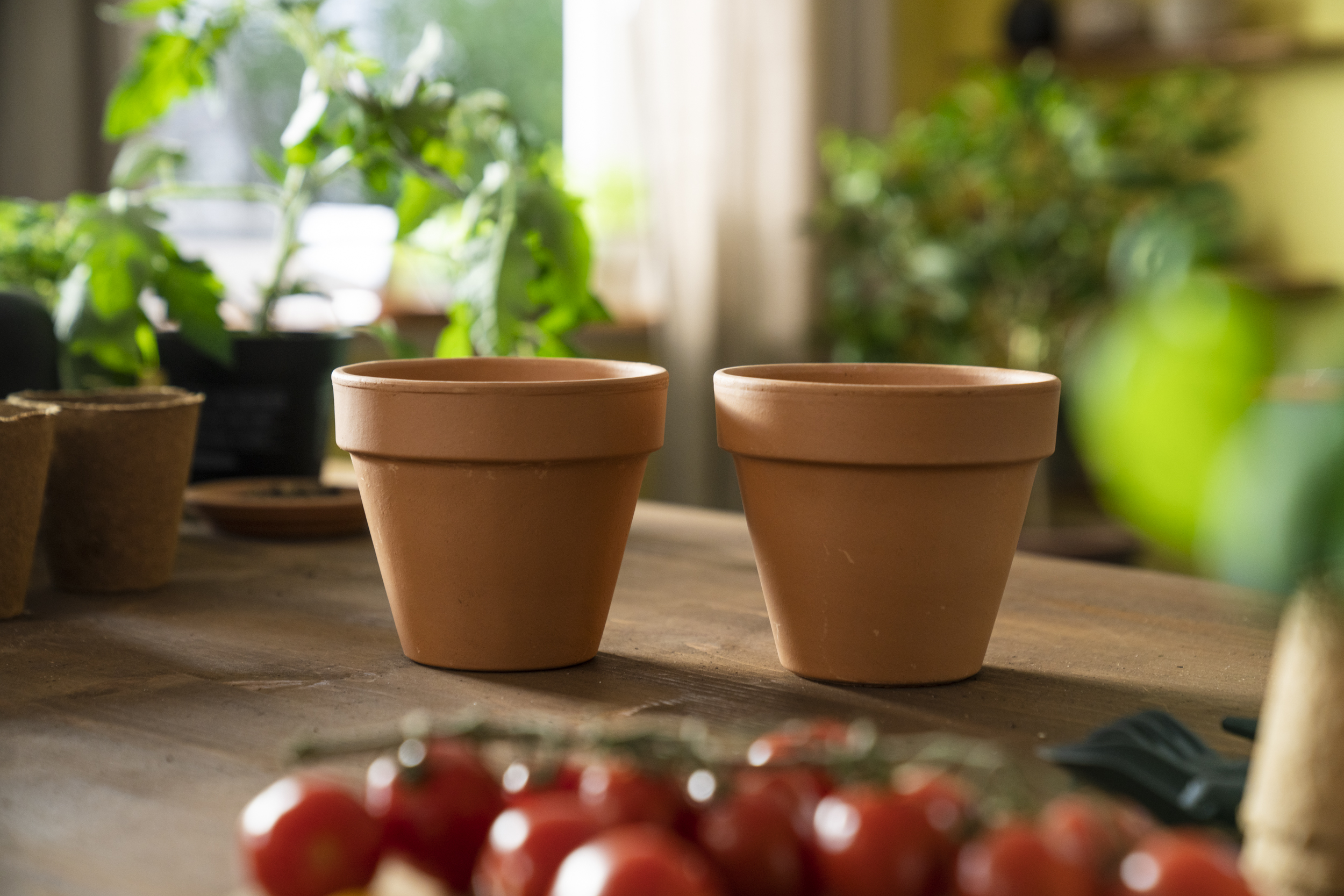 Due vasi di argilla su un tavolo