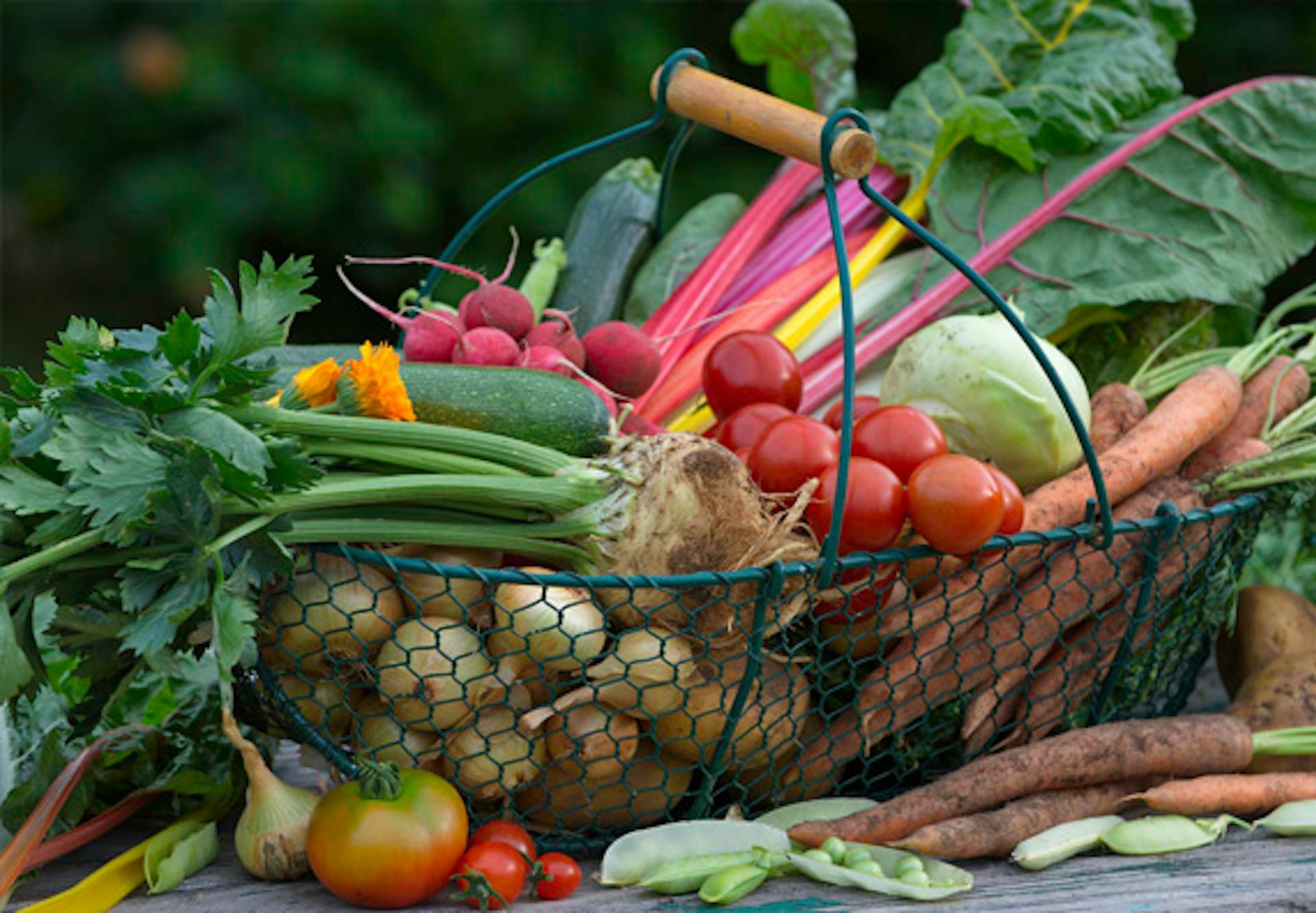 Leszüretelt zöldségek egy kosárban.