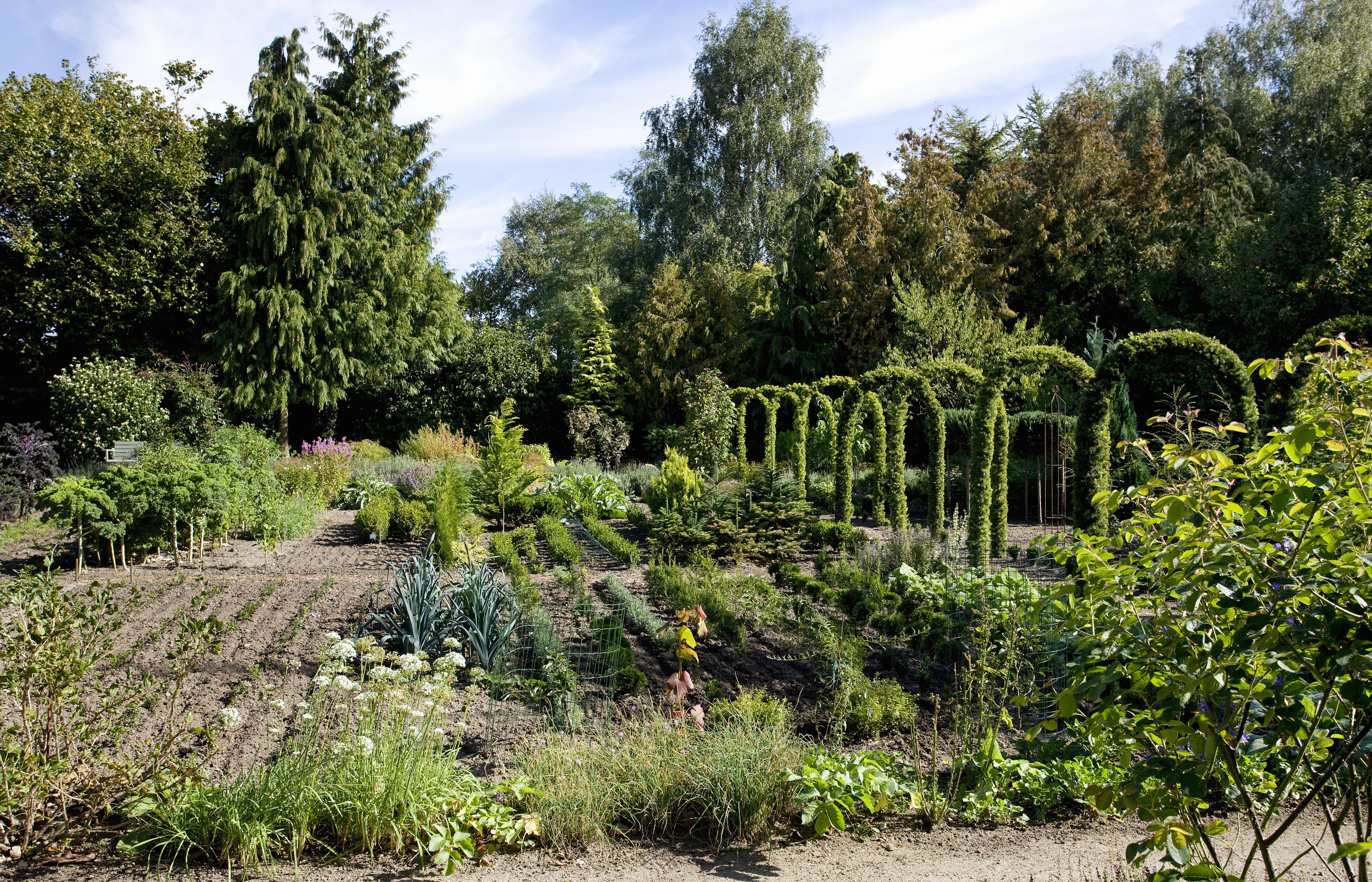Gemüsegarten anlegen Planung und Gestaltung OBI