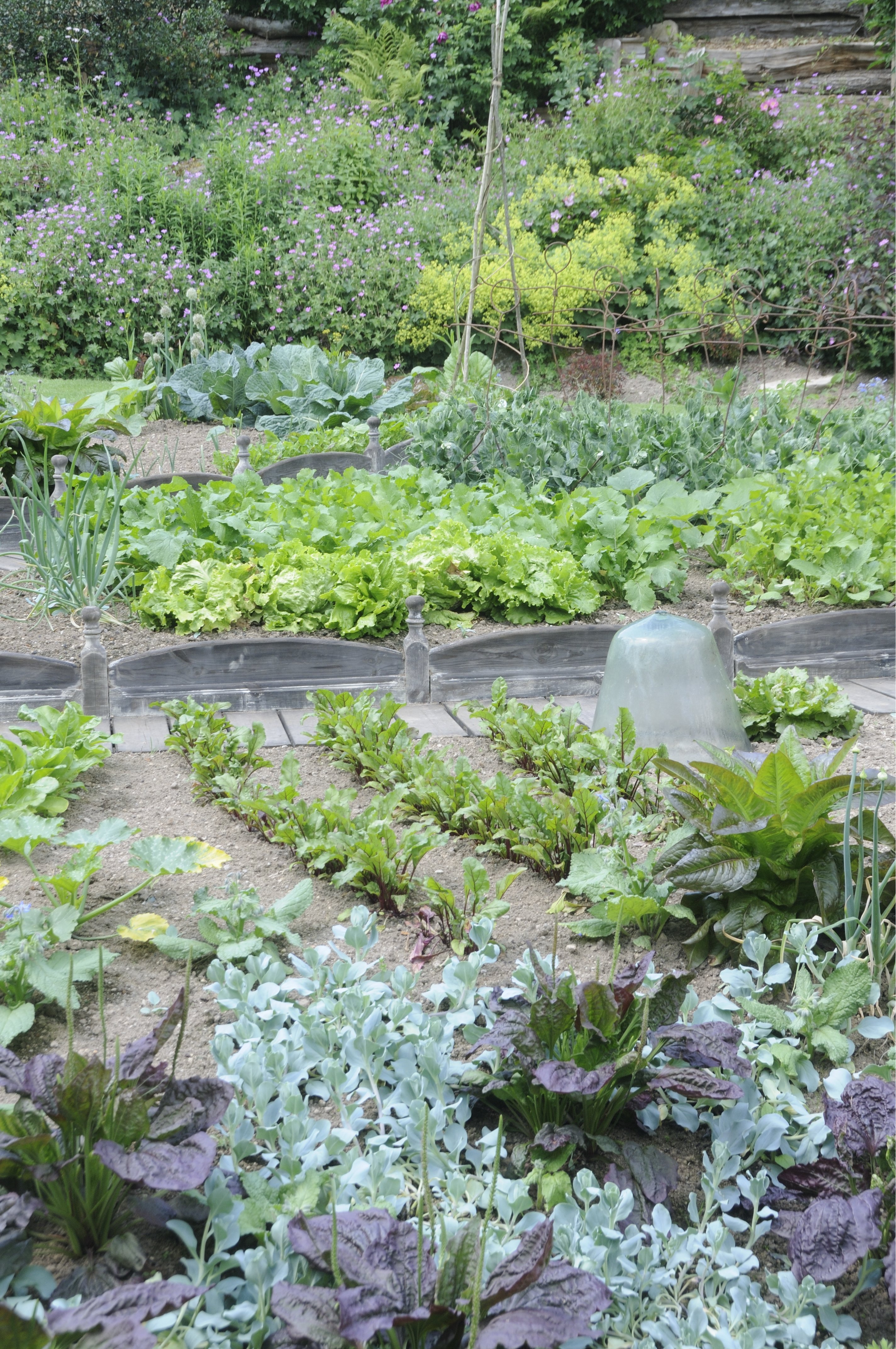 Gemüsegarten gestalten OBI