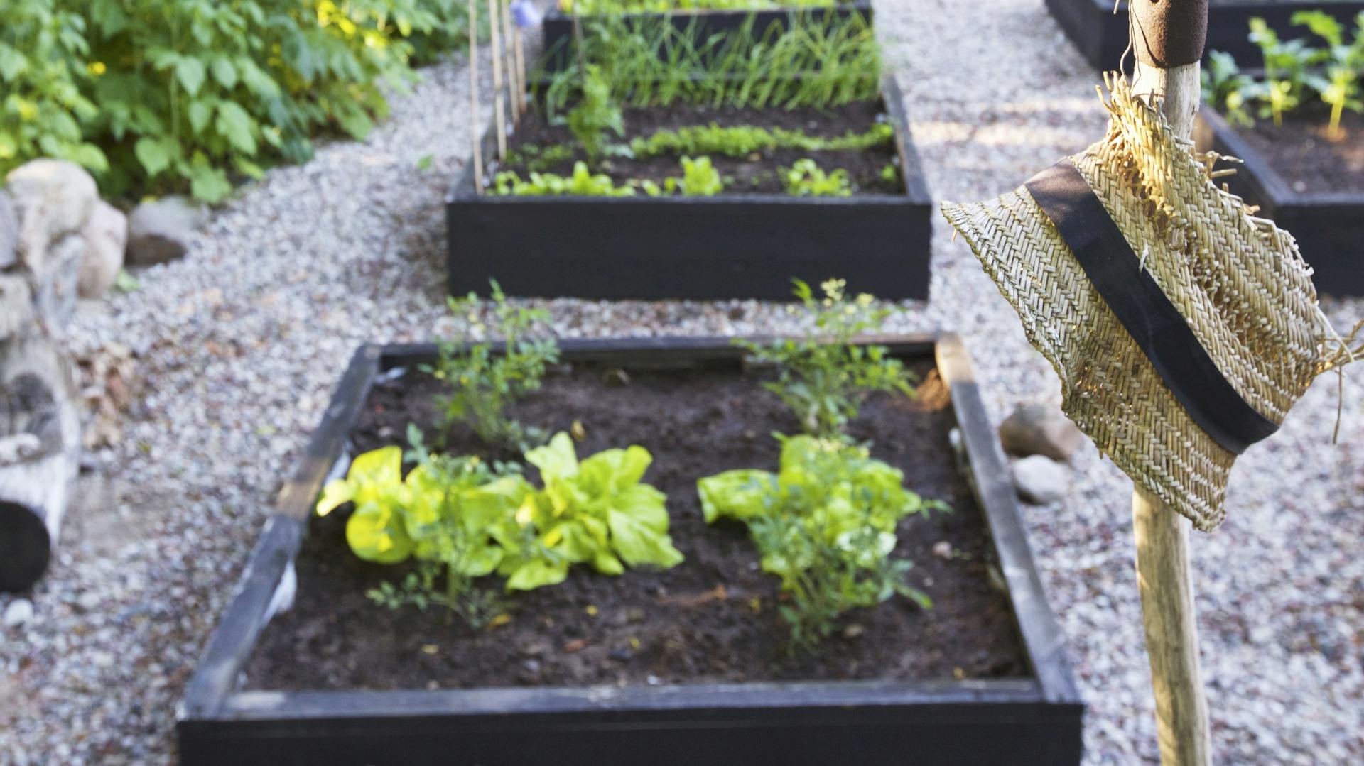 Beete mit Einfassung und Wegen im Garten