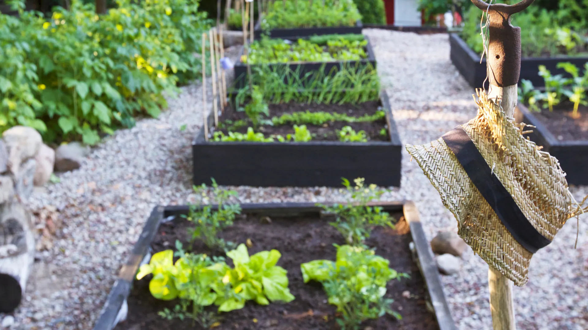Gemüsegarten gestalten | OBI