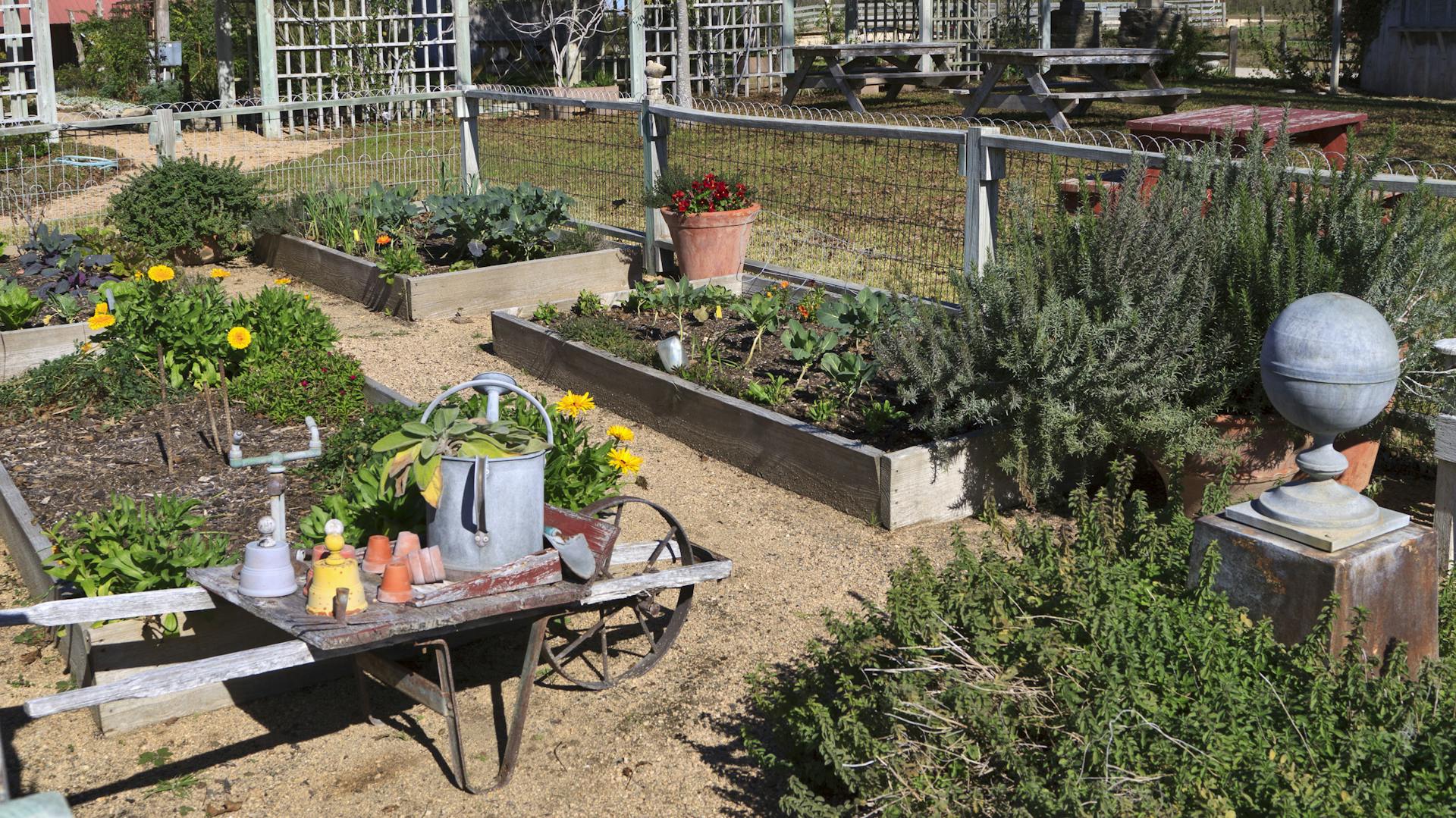 Ein großer Gemüsegarten mit verschiedenen Pflanzen