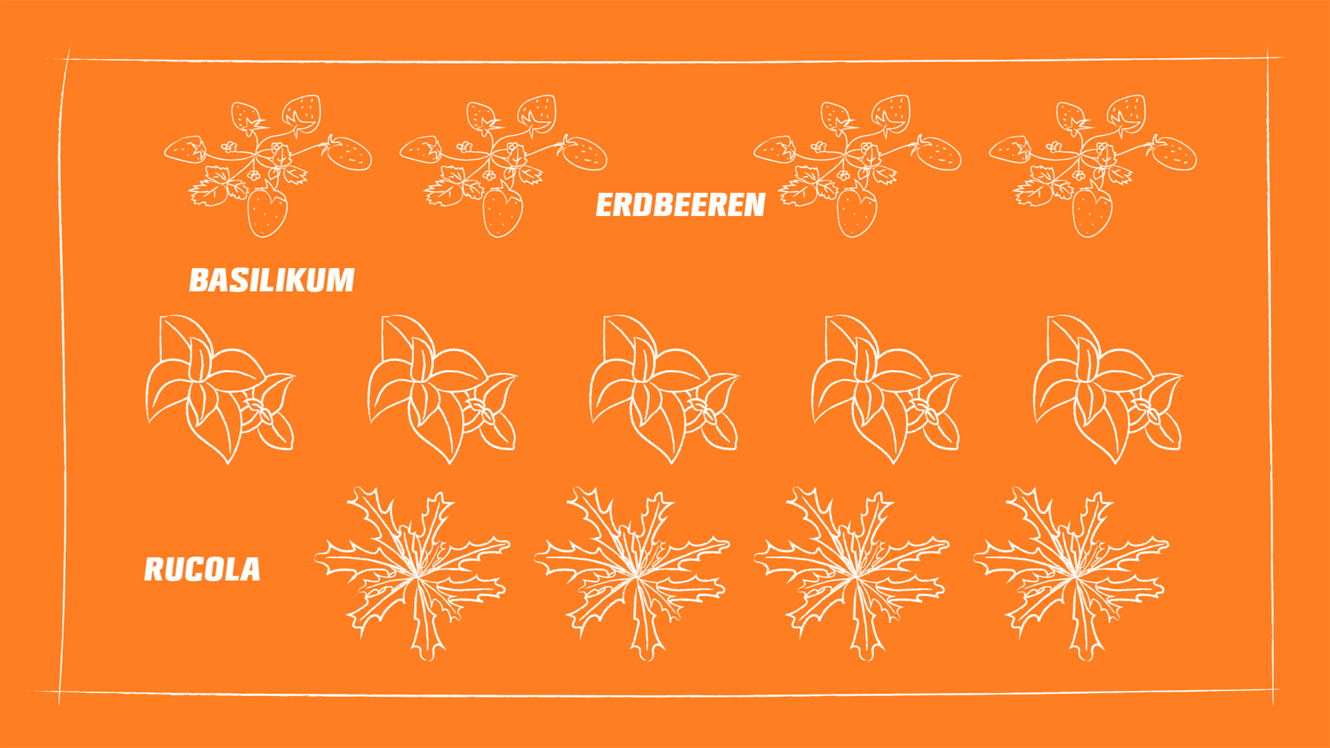 Übersichtsgrafik wie Erdbeeren, Basilikum und Rucola zusammen angepflanzt werden können
