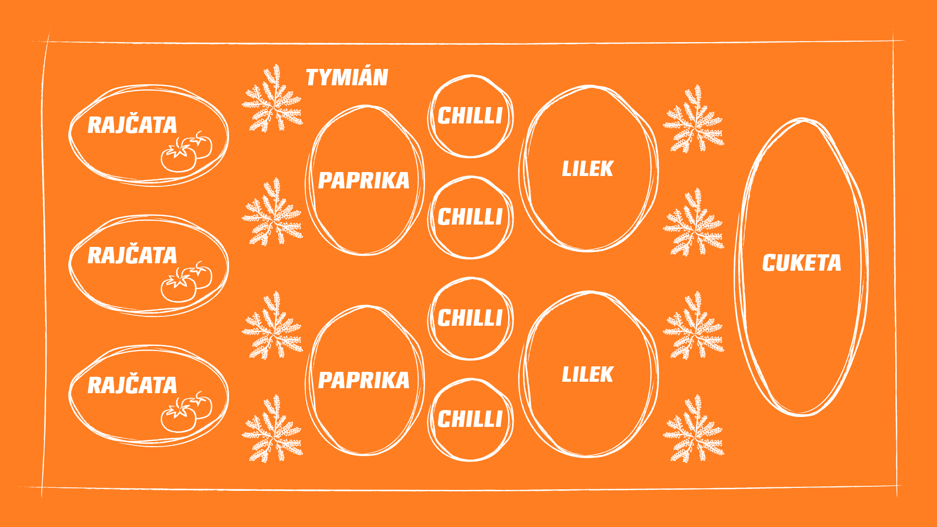 Přehledné grafické znázornění společného pěstování rajčat, tymiánu, chilli, lilku, paprik a cuket