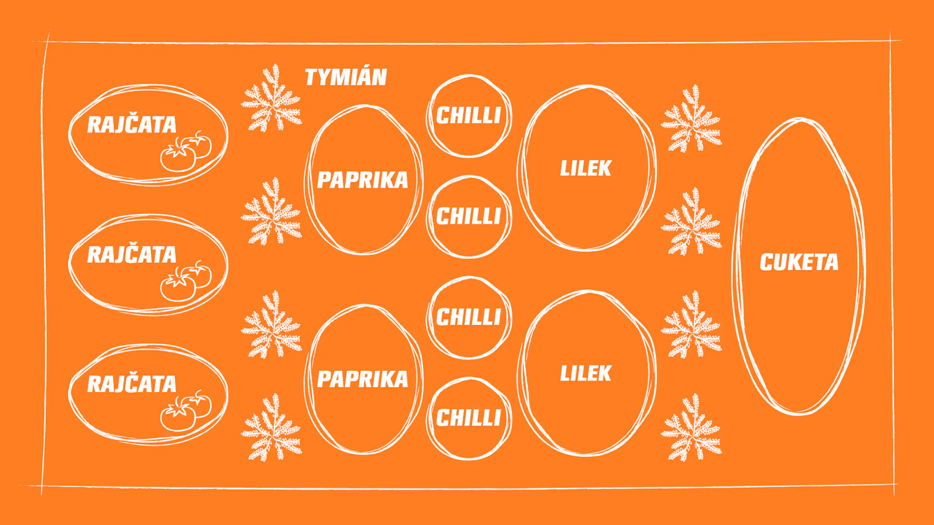 Přehledné grafické znázornění společného pěstování rajčat, tymiánu, chilli, lilku, paprik a cuket
