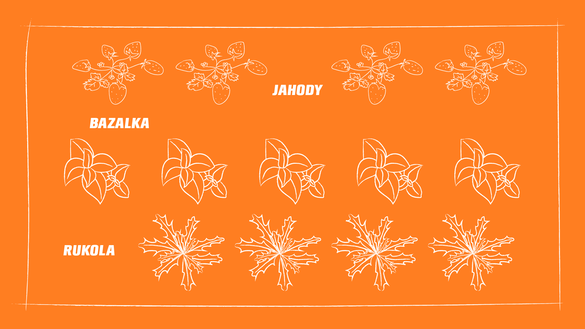 Přehledné grafické znázornění společného pěstování jahod, bazalky a rukoly